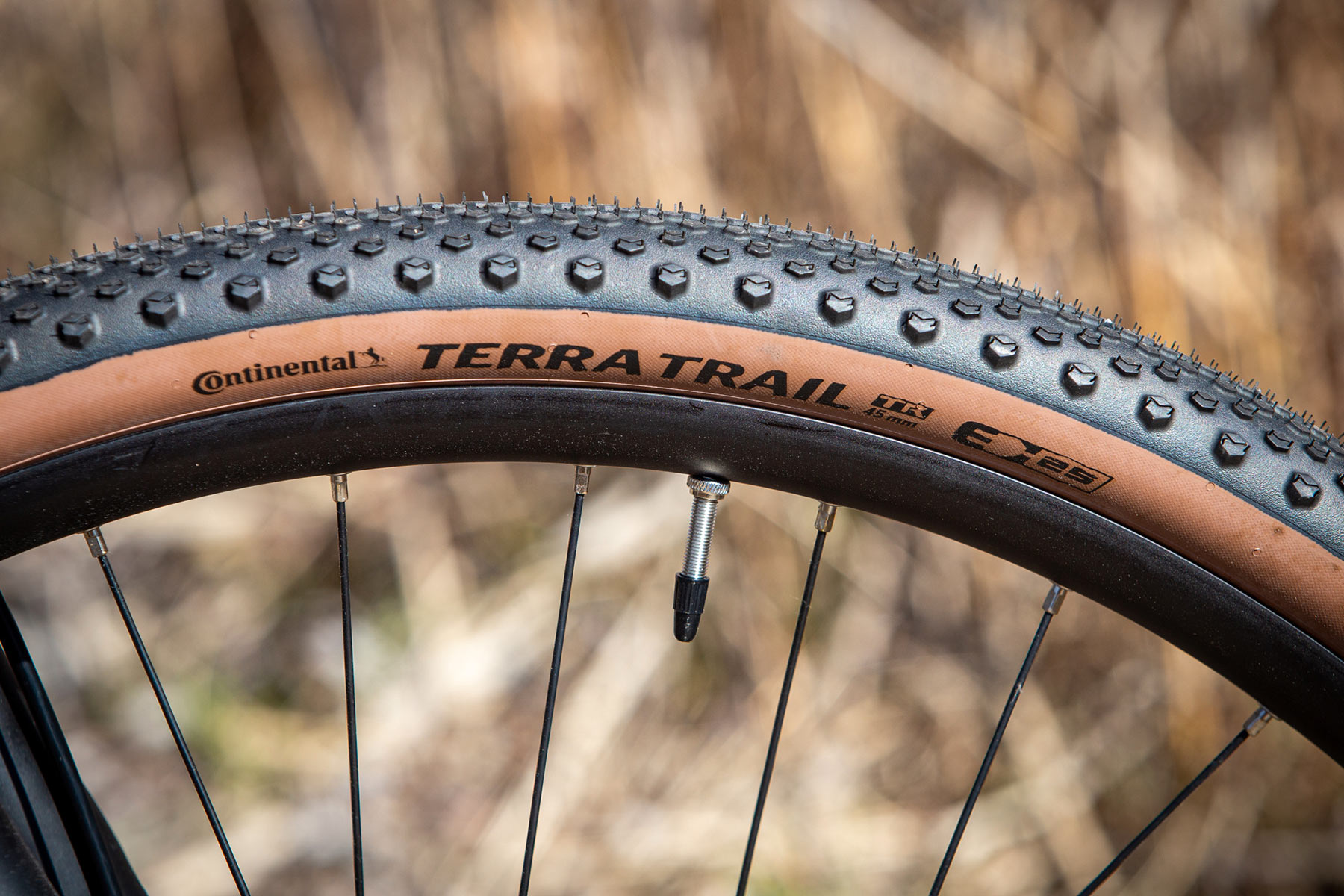 Ghost Asket Full Party 2025