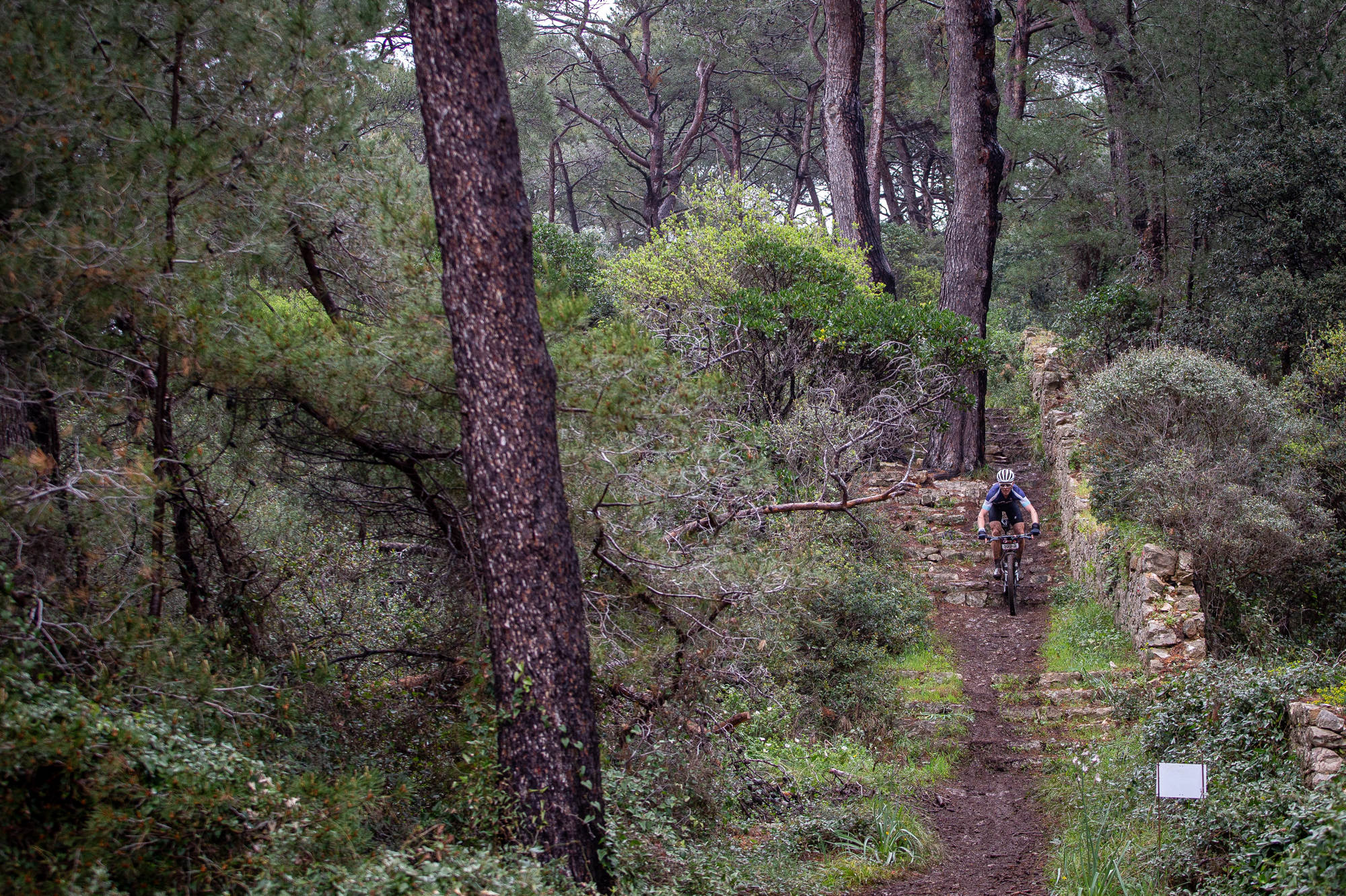 4 Islands Epic 2025 - prolog