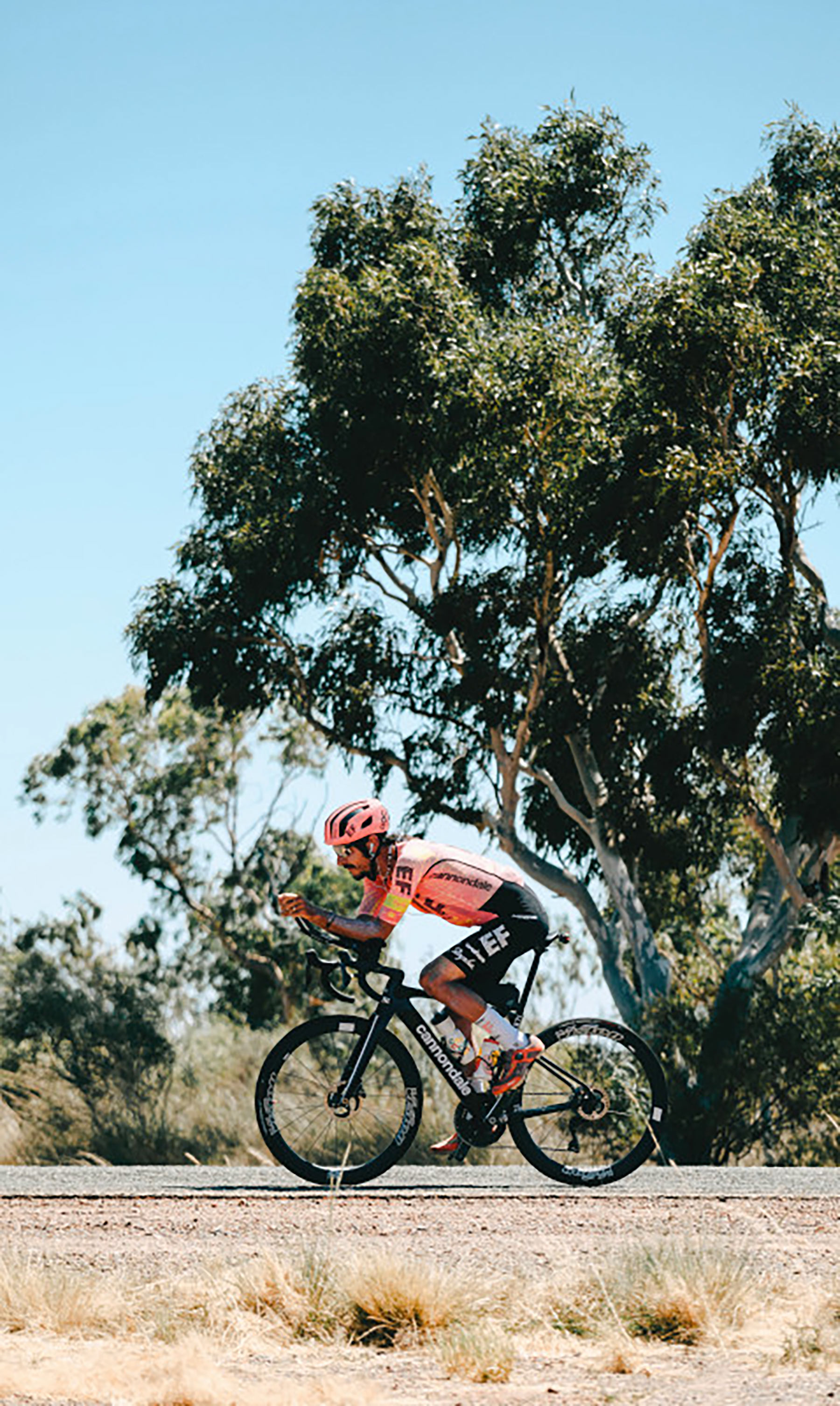 Cannondale Synapse 2025