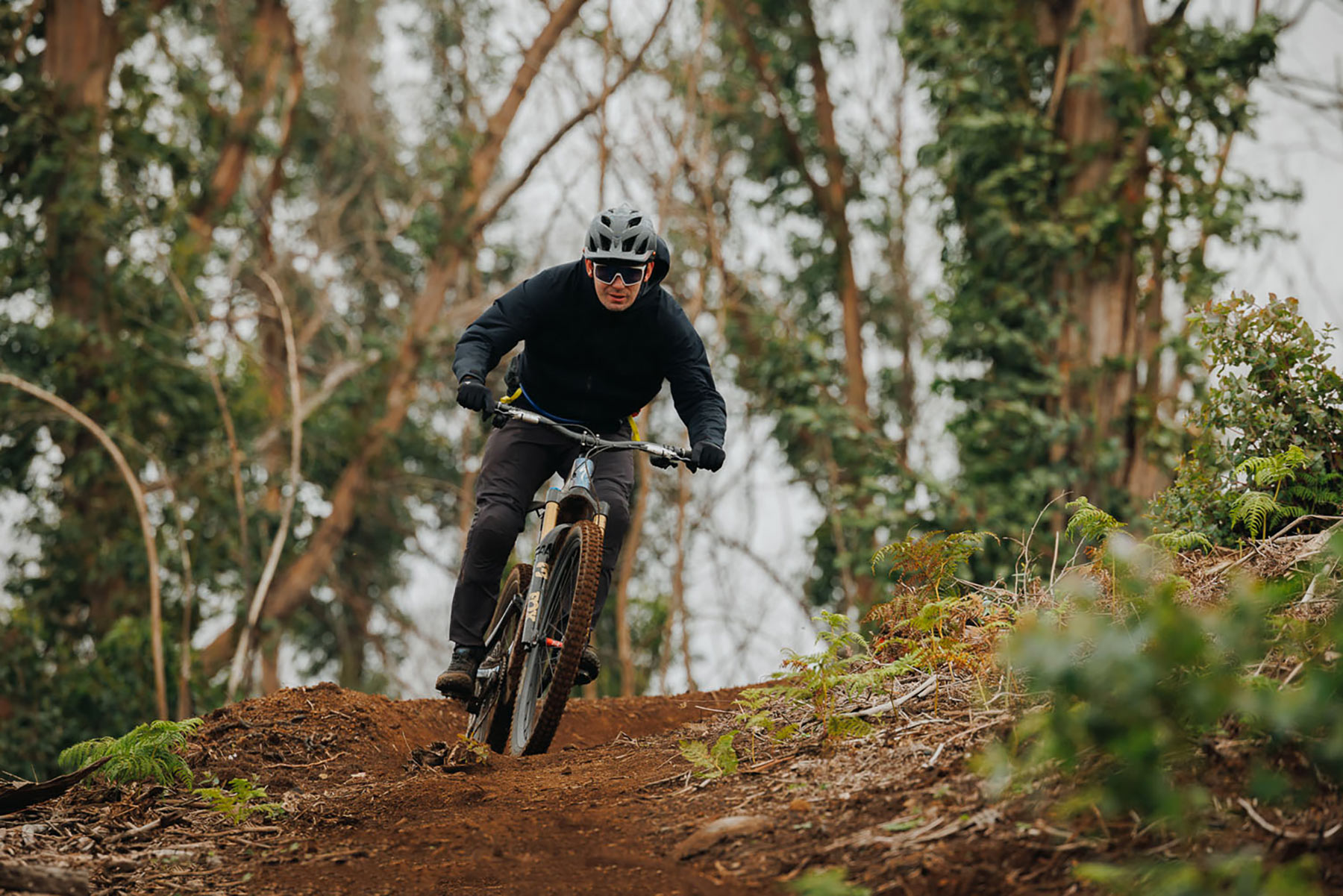 Specialized S-Works Turbo Levo 4