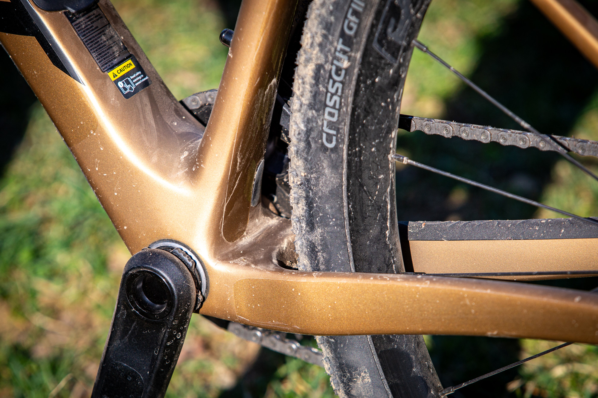 Giant Revolt Advanced 1