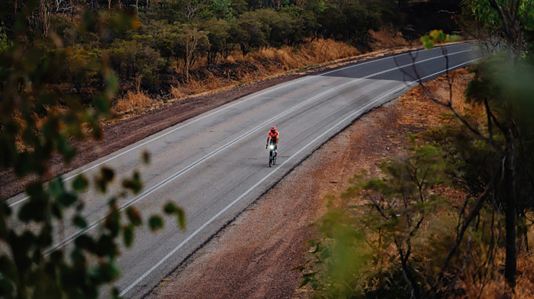 Cannondale Synapse 2025