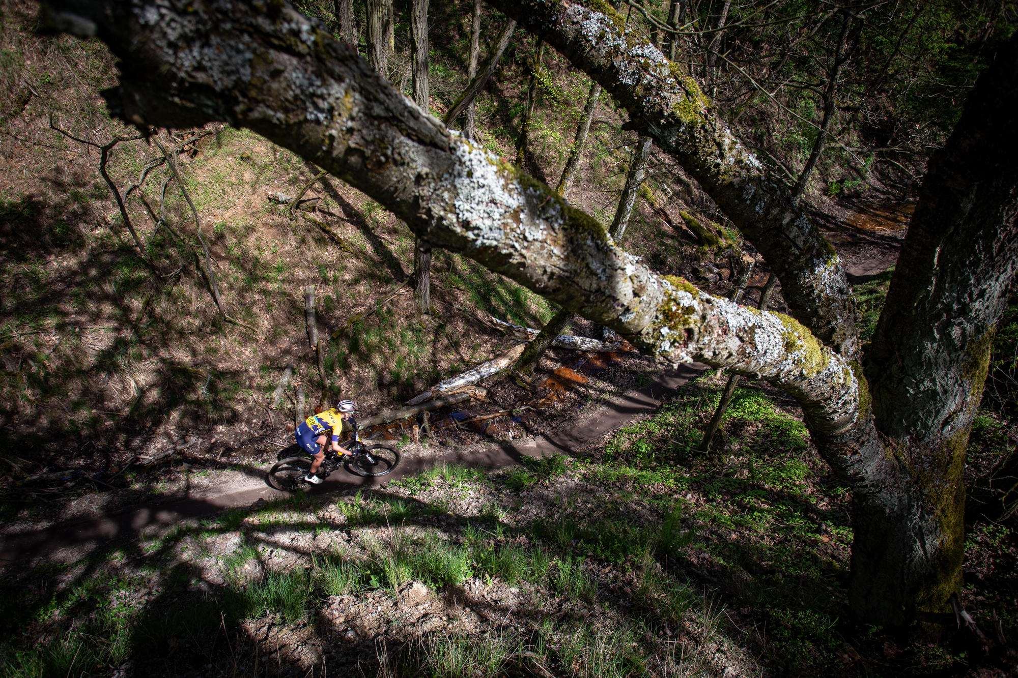 esk pohr XCO #1 - Msto Toukov 2025