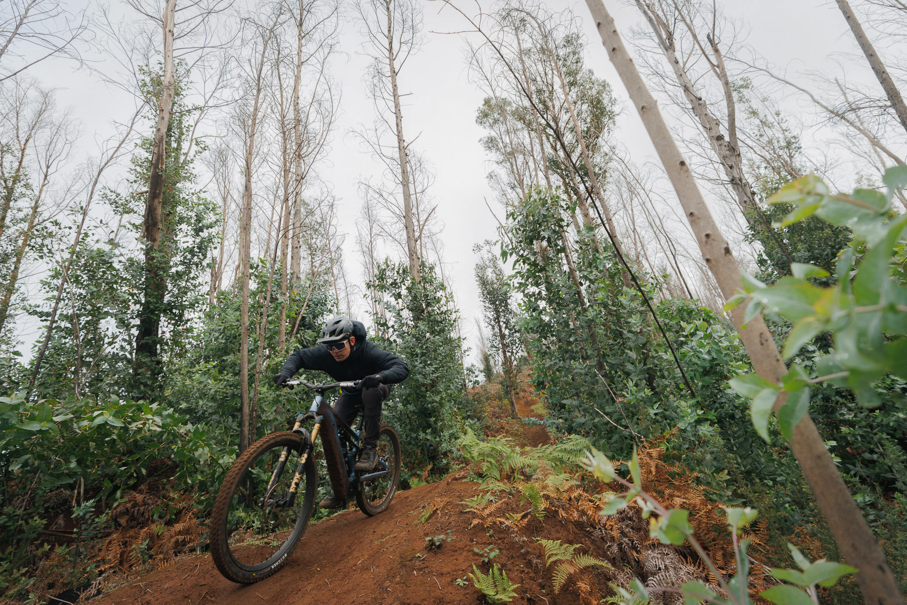 Specialized S-Works Turbo Levo 4