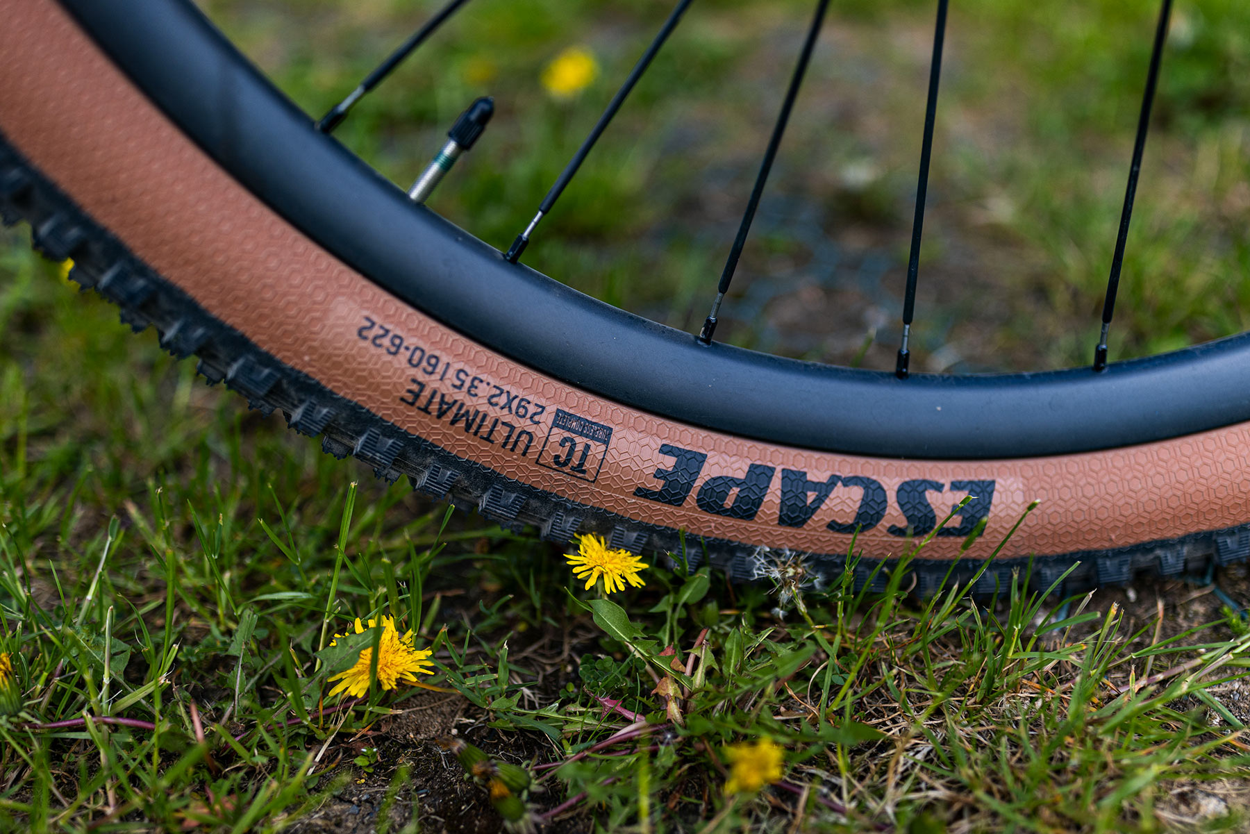 Rock Machine Whizz na ti zpsoby