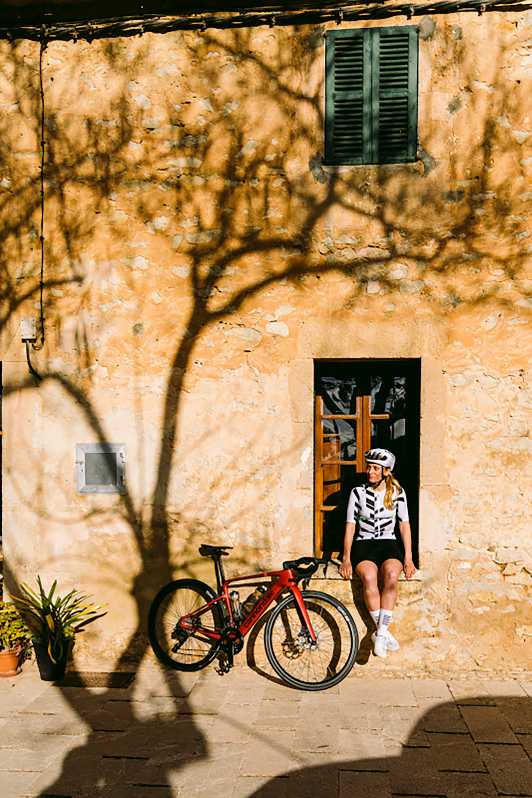 Cannondale Synapse 2025