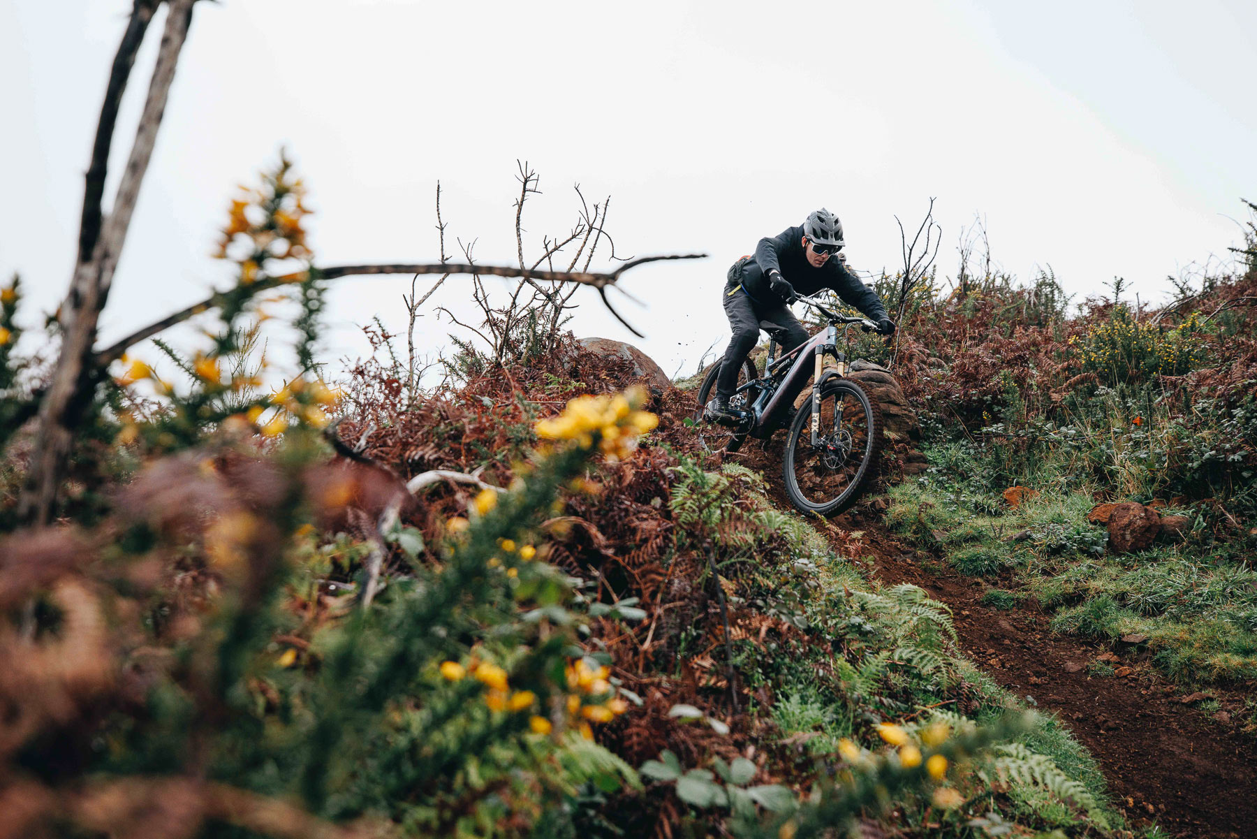 Specialized S-Works Turbo Levo 4