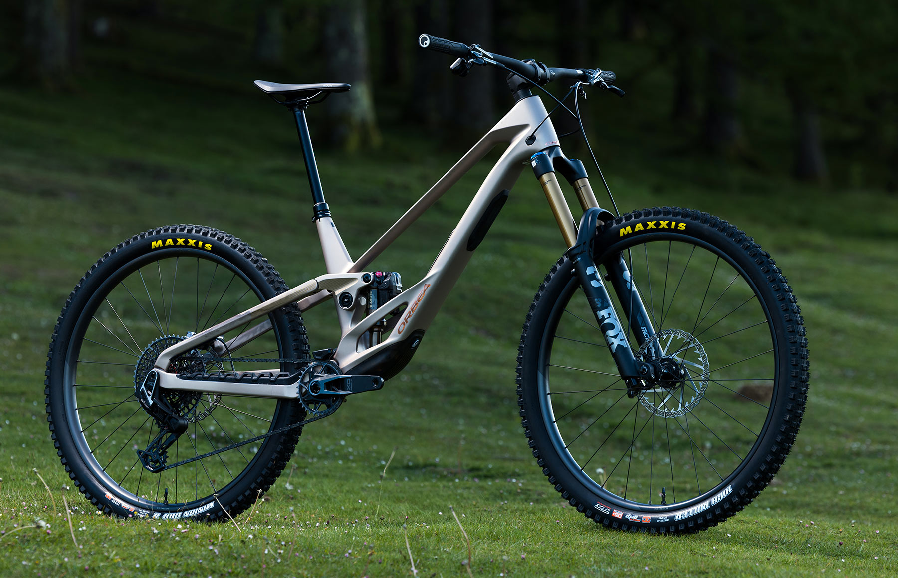 Orbea Rallon 2025