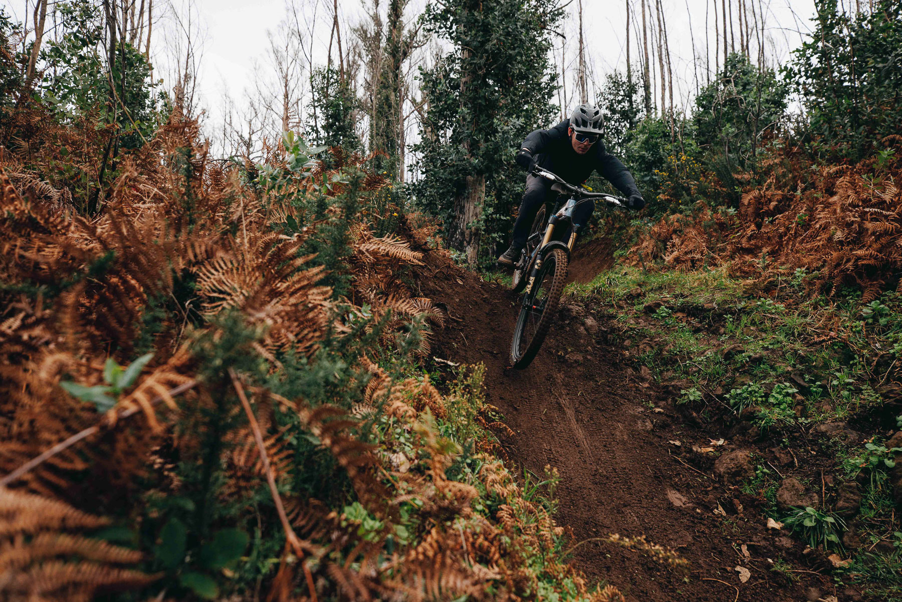 Specialized S-Works Turbo Levo 4