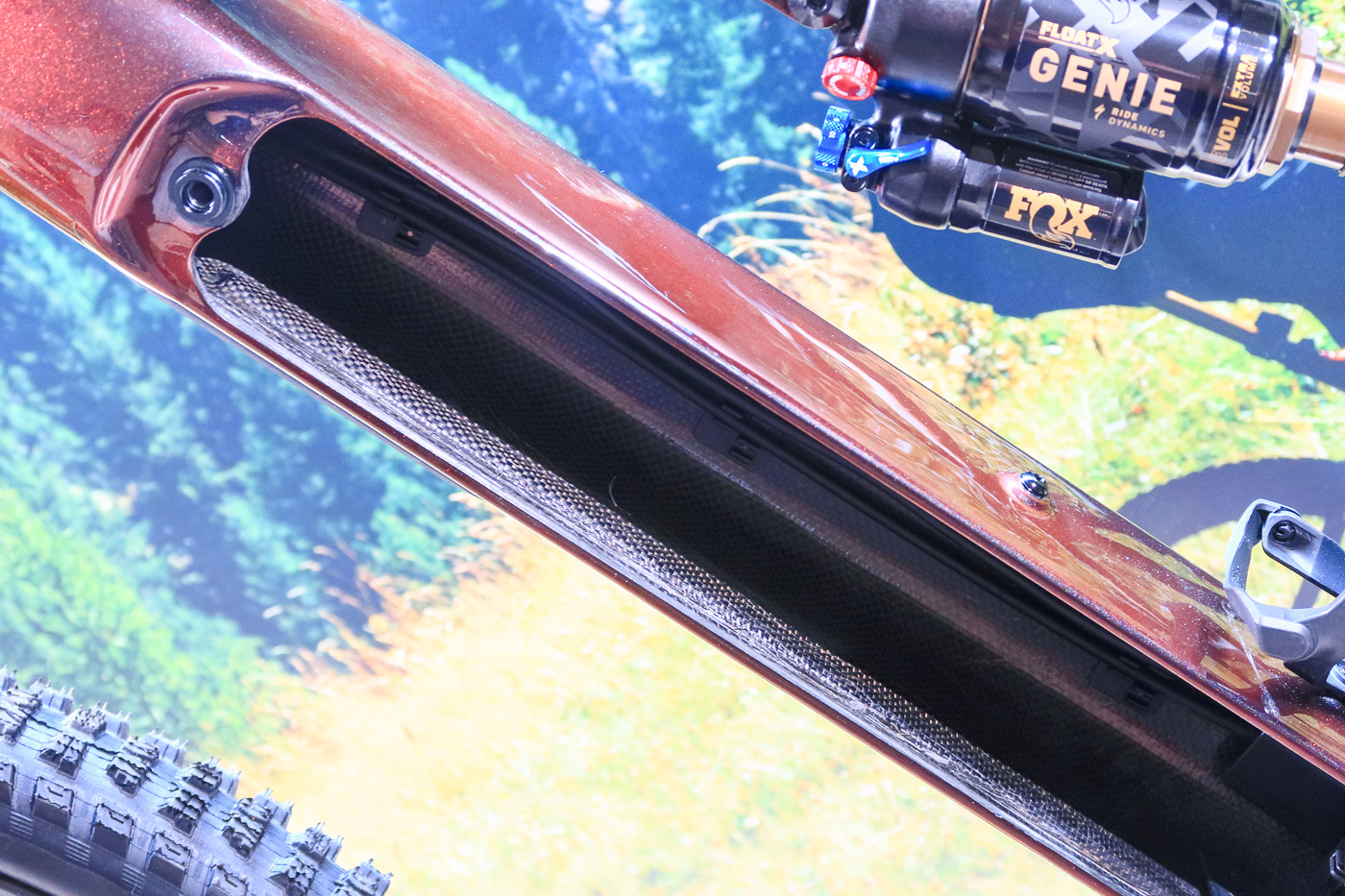 Specialized S-Works Turbo Levo 4