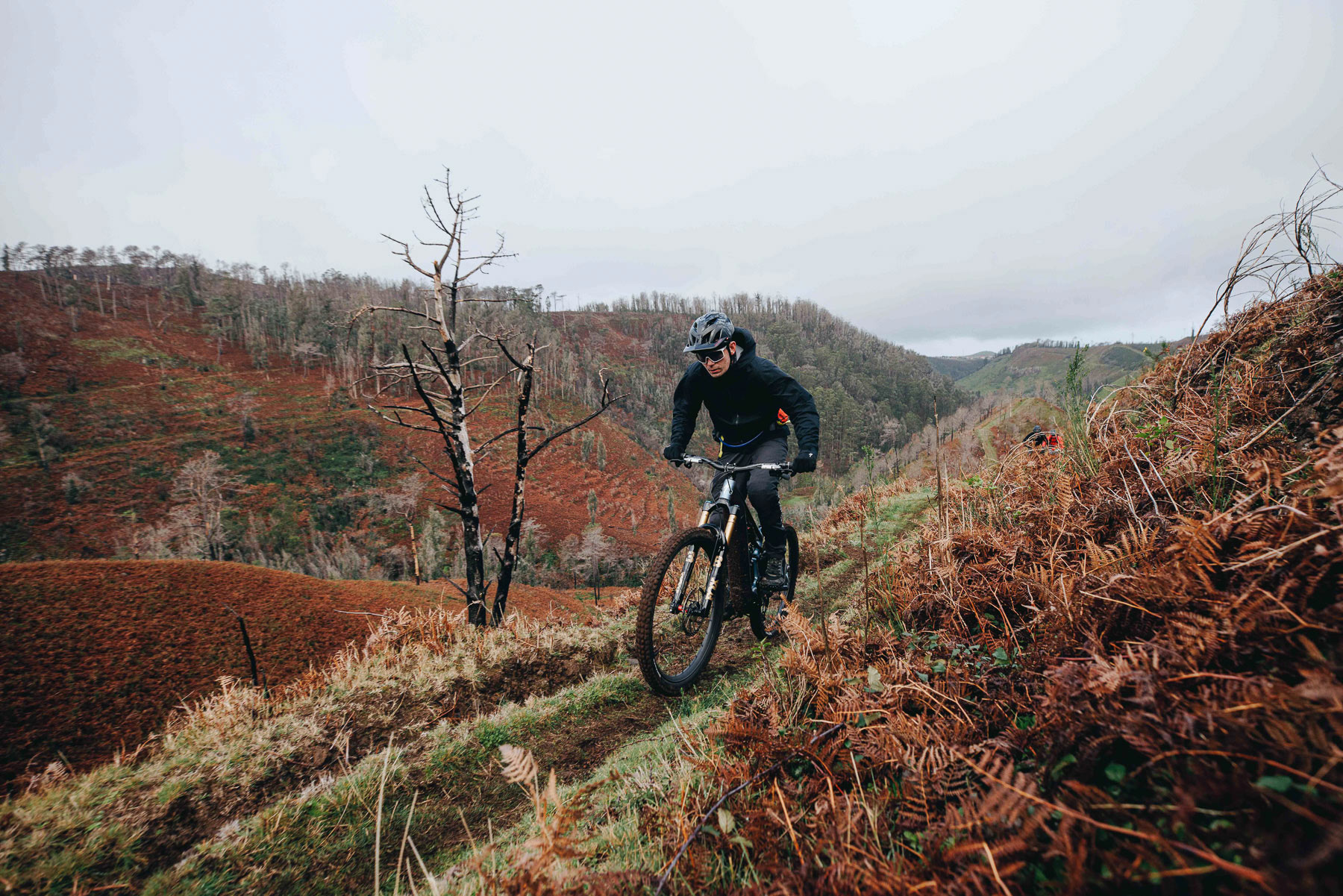 Specialized S-Works Turbo Levo 4