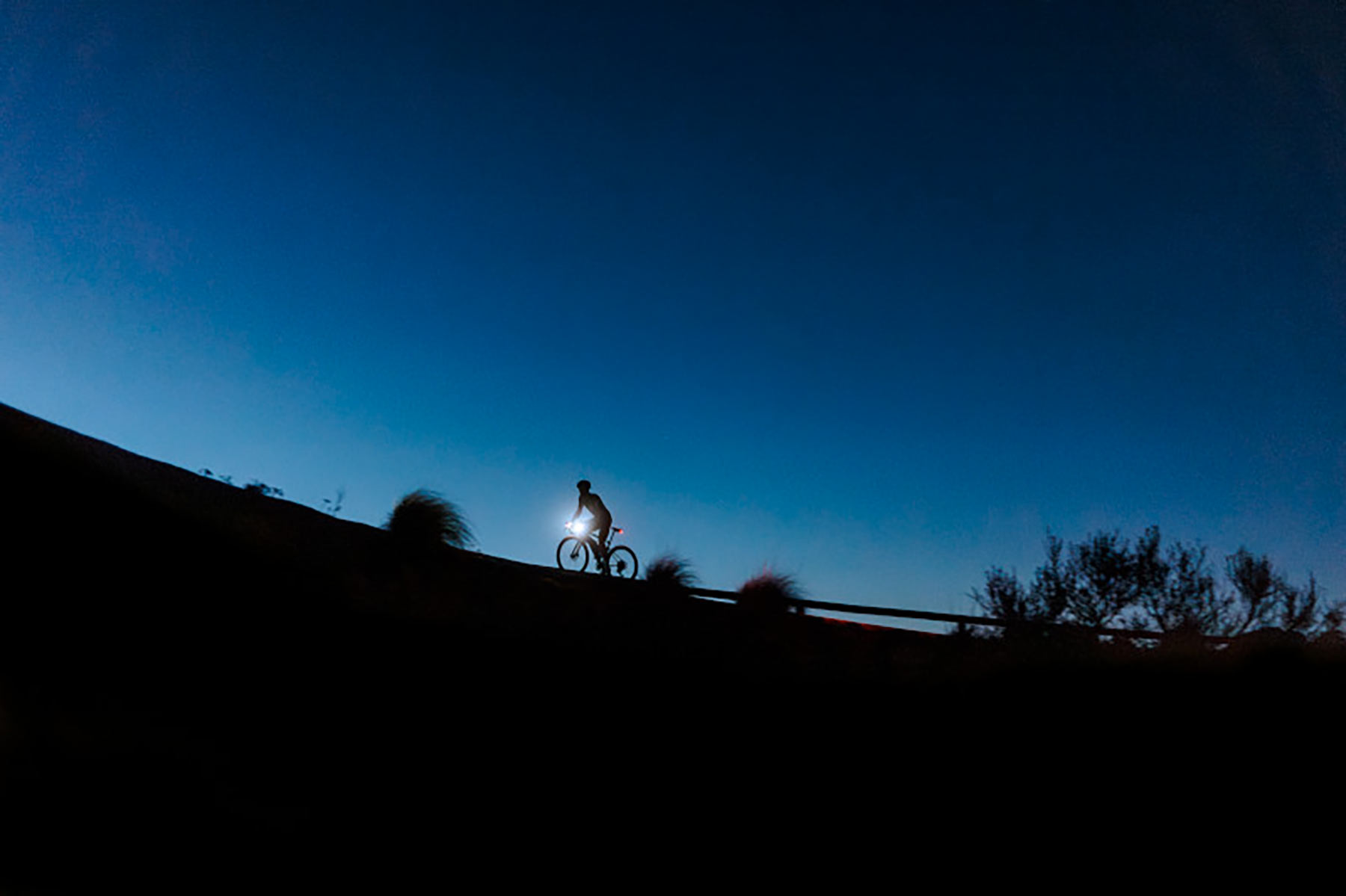 Cannondale Synapse 2025