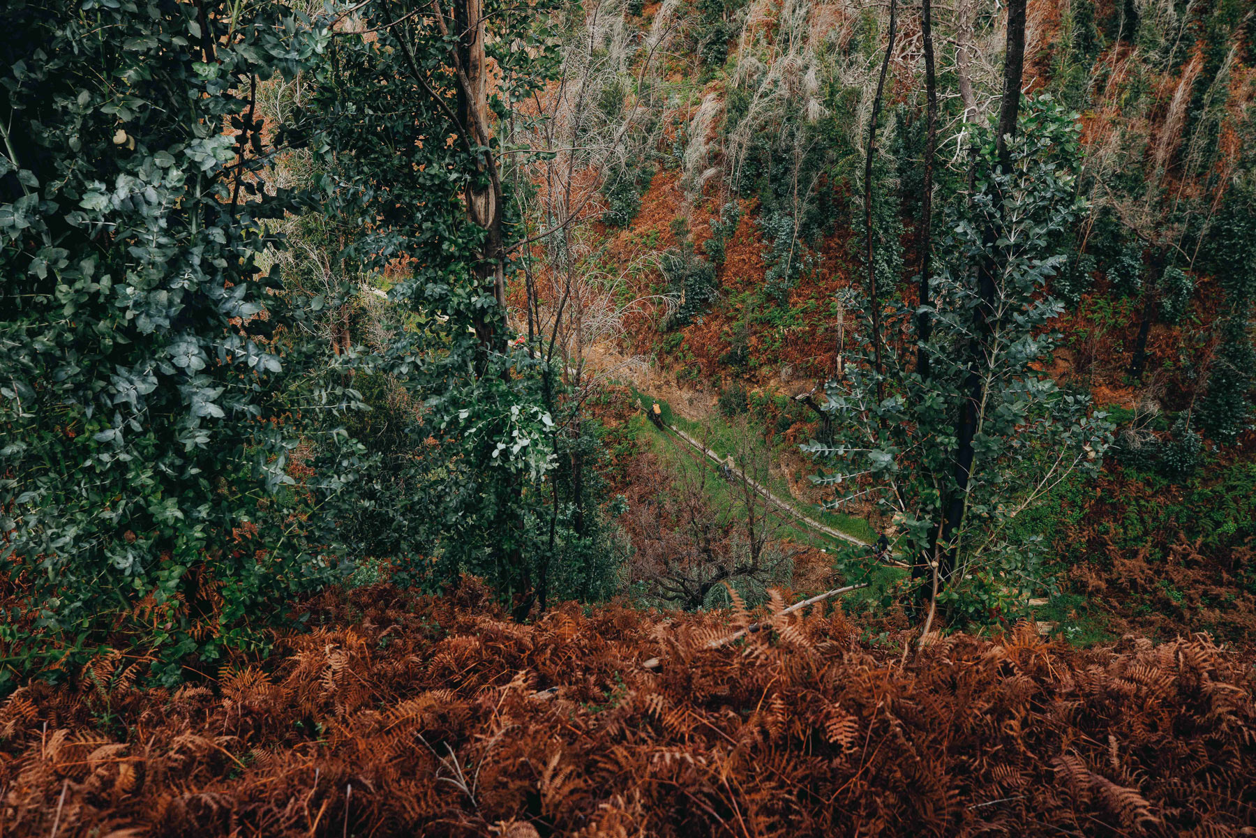 Specialized S-Works Turbo Levo 4