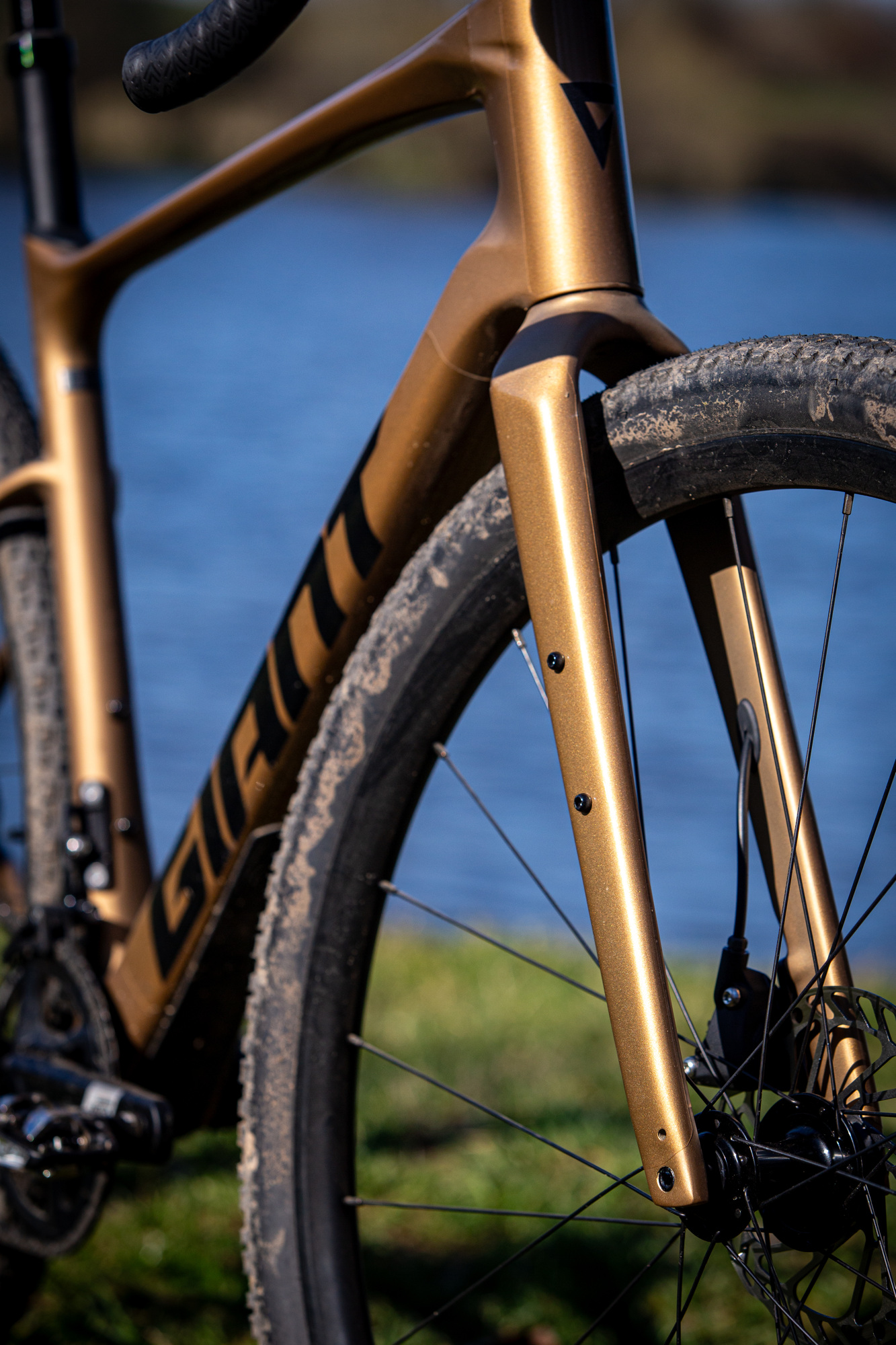 Giant Revolt Advanced 1