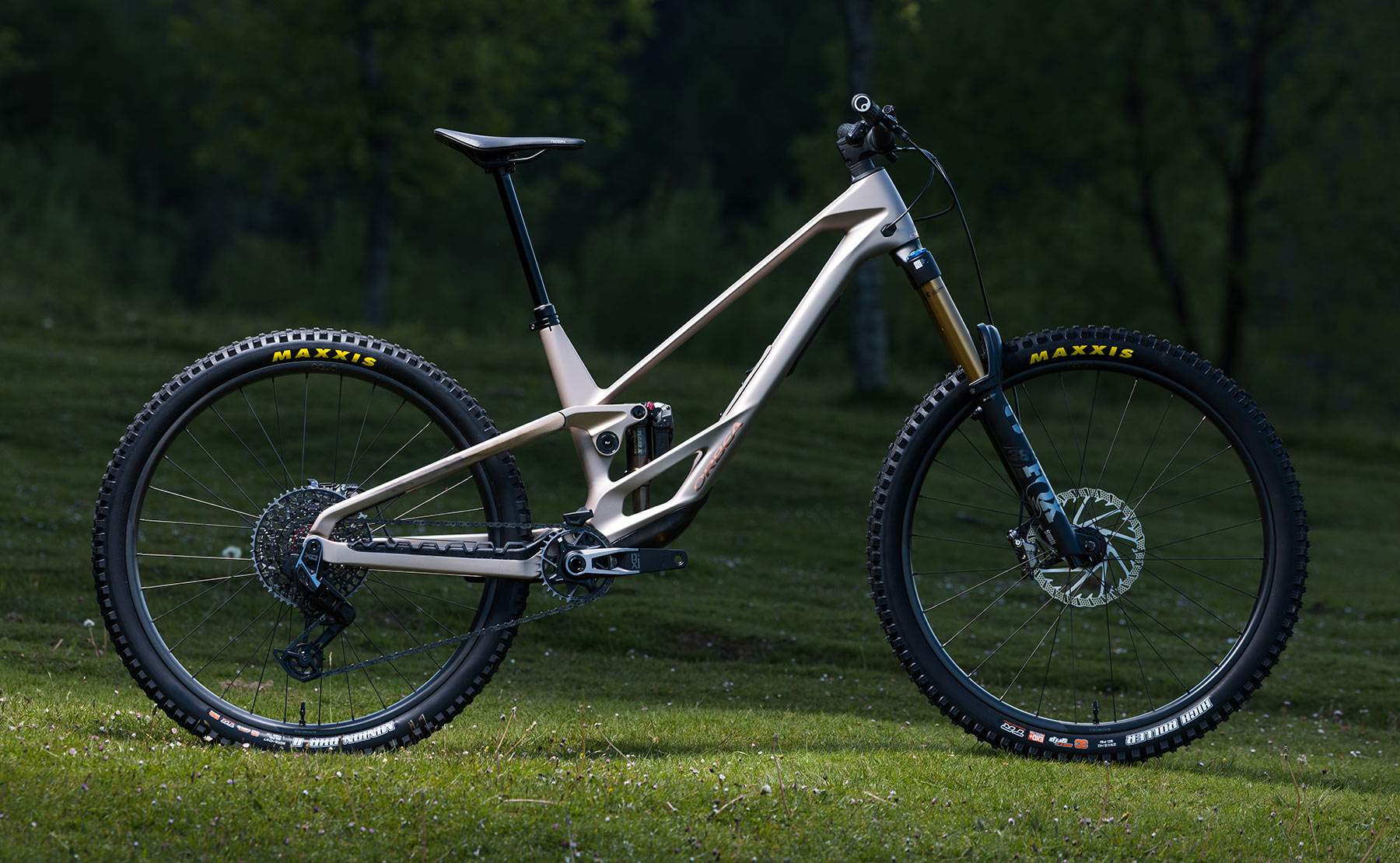 Orbea Rallon 2025
