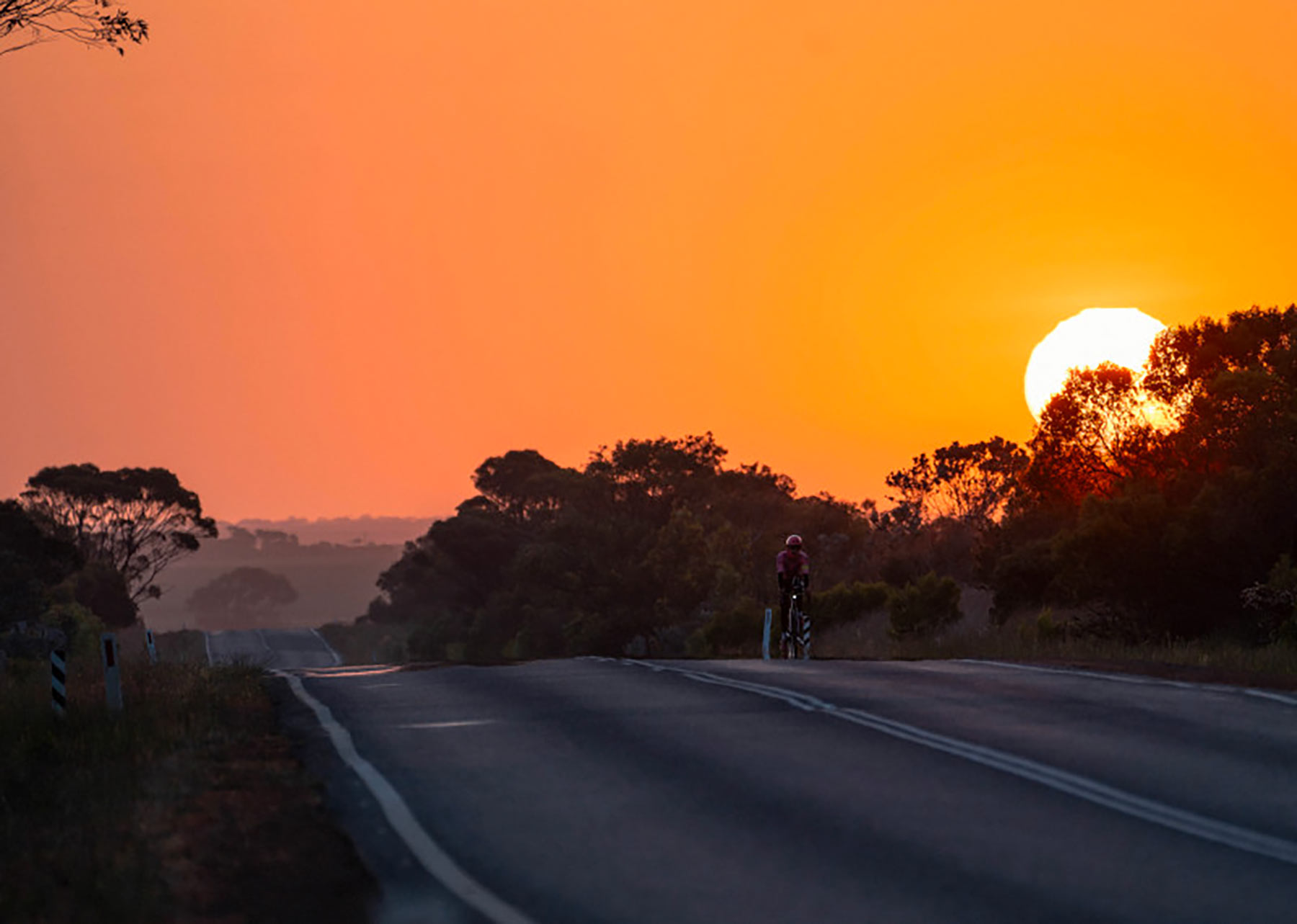 Cannondale Synapse 2025