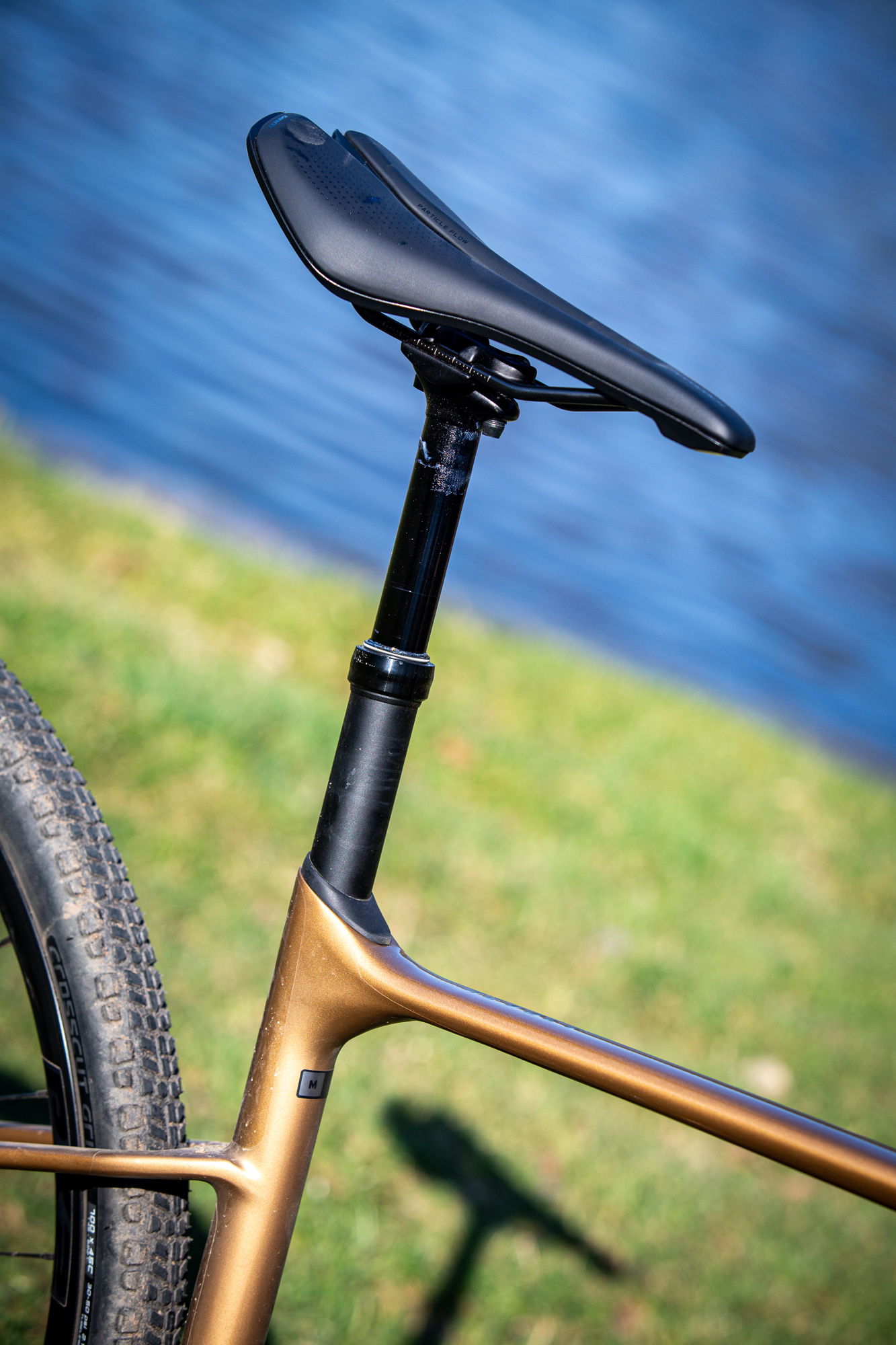 Giant Revolt Advanced 1