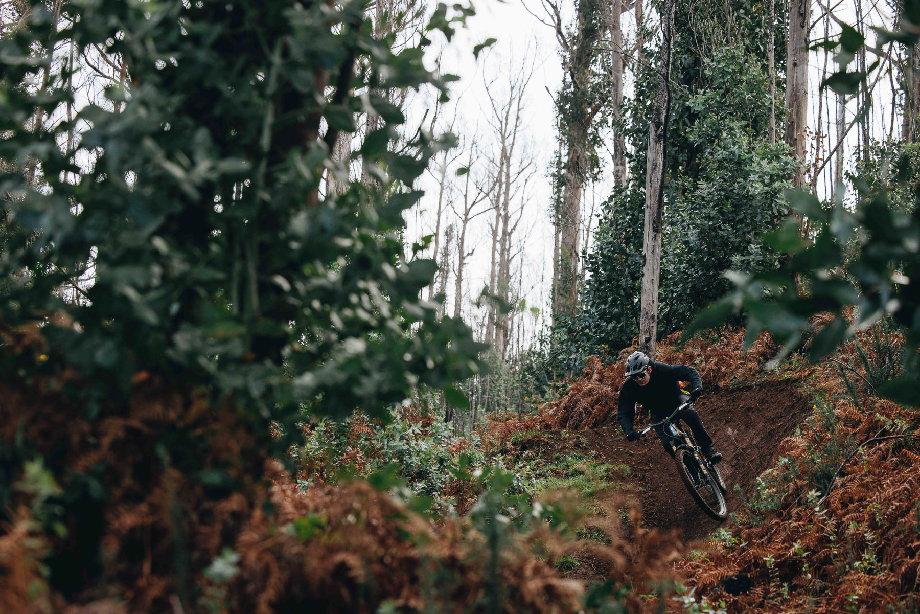 Specialized S-Works Turbo Levo 4