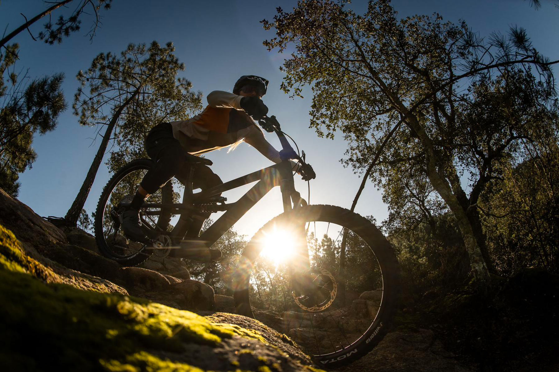 Shimano XTR Di2 2025