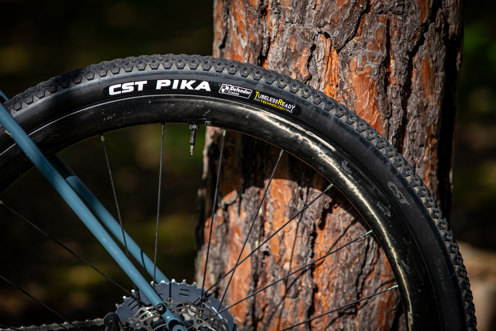 Gravel plt CST Overton & Pika 700x45c