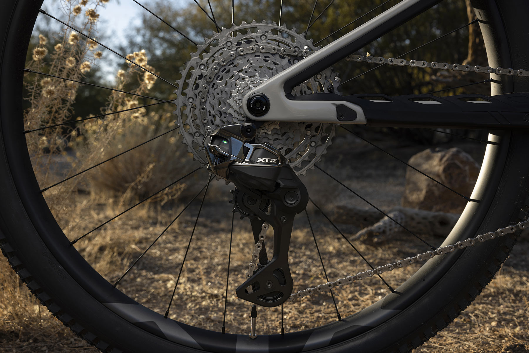 Shimano XTR Di2 2025