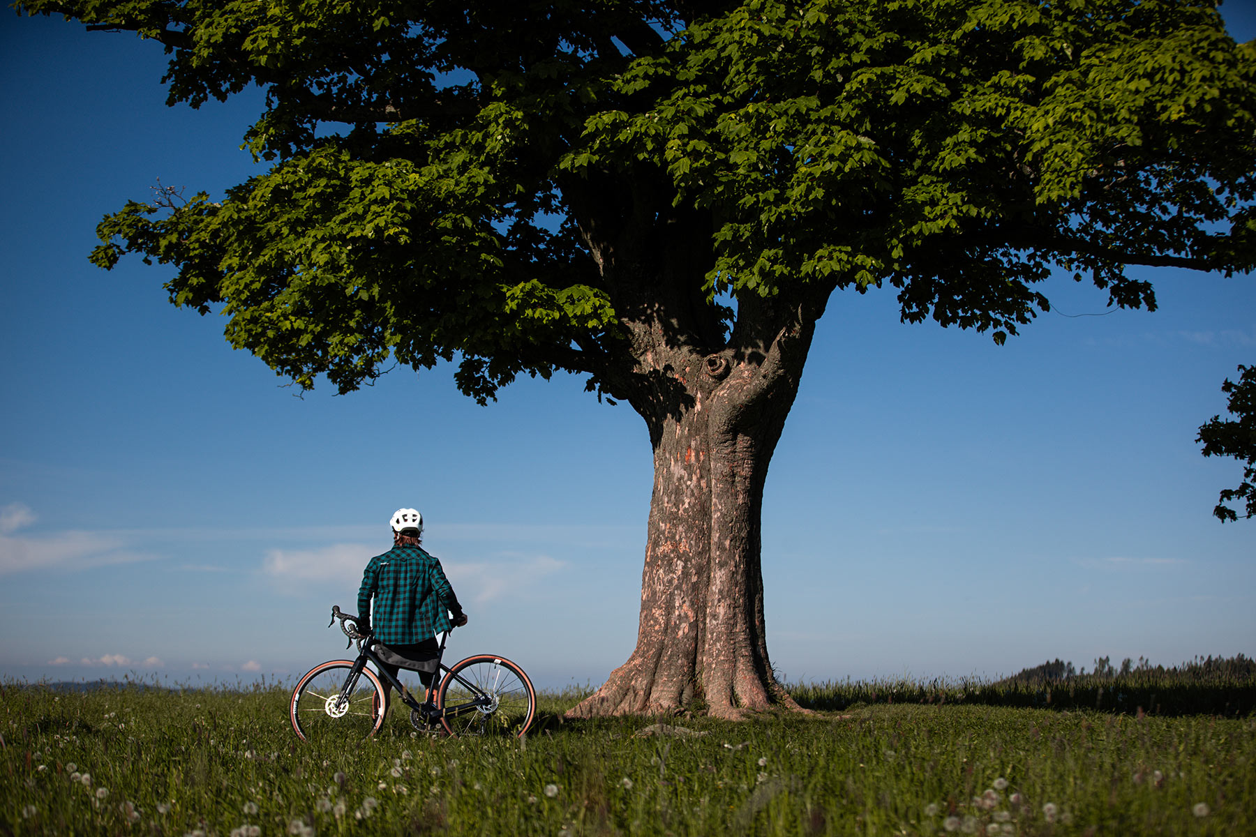 Rock Machine Lukk Cr