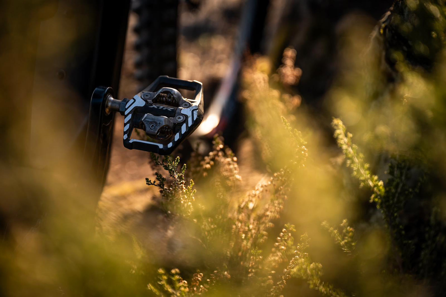 Shimano XTR Di2 2025