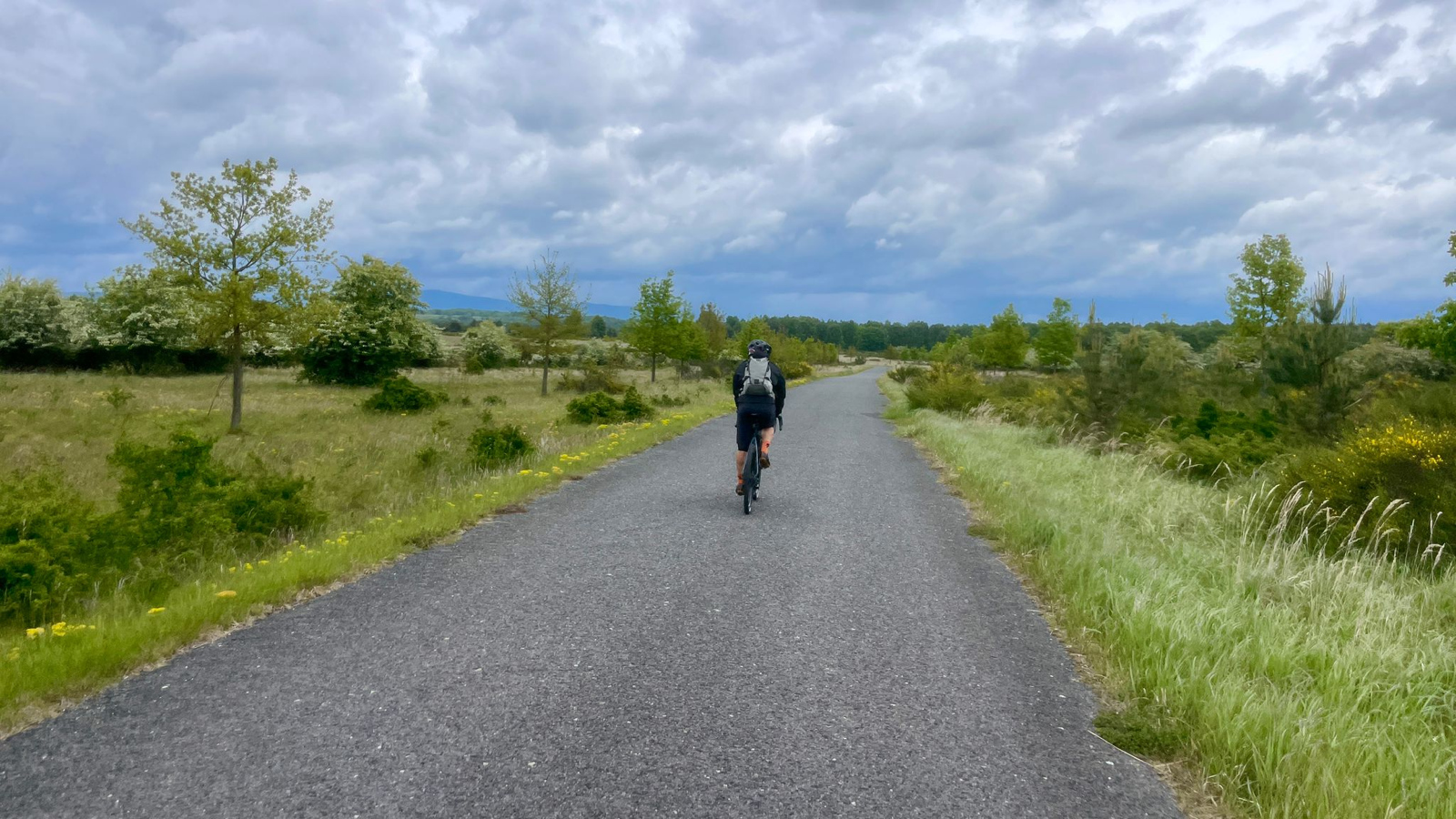 Gravel plt CST Overton & Pika 700x45c