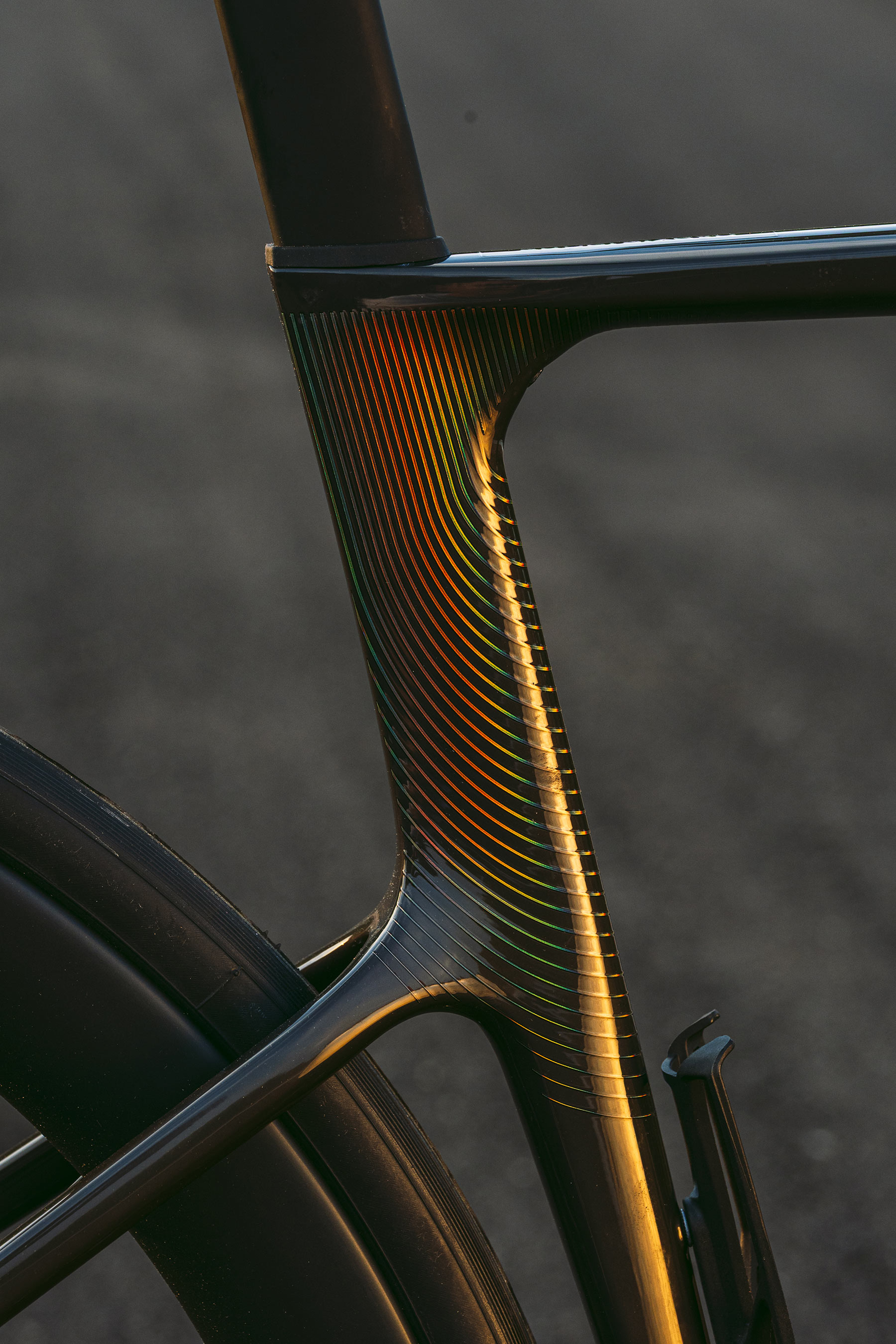 Cannondale SuperSix EVO Carbon 1