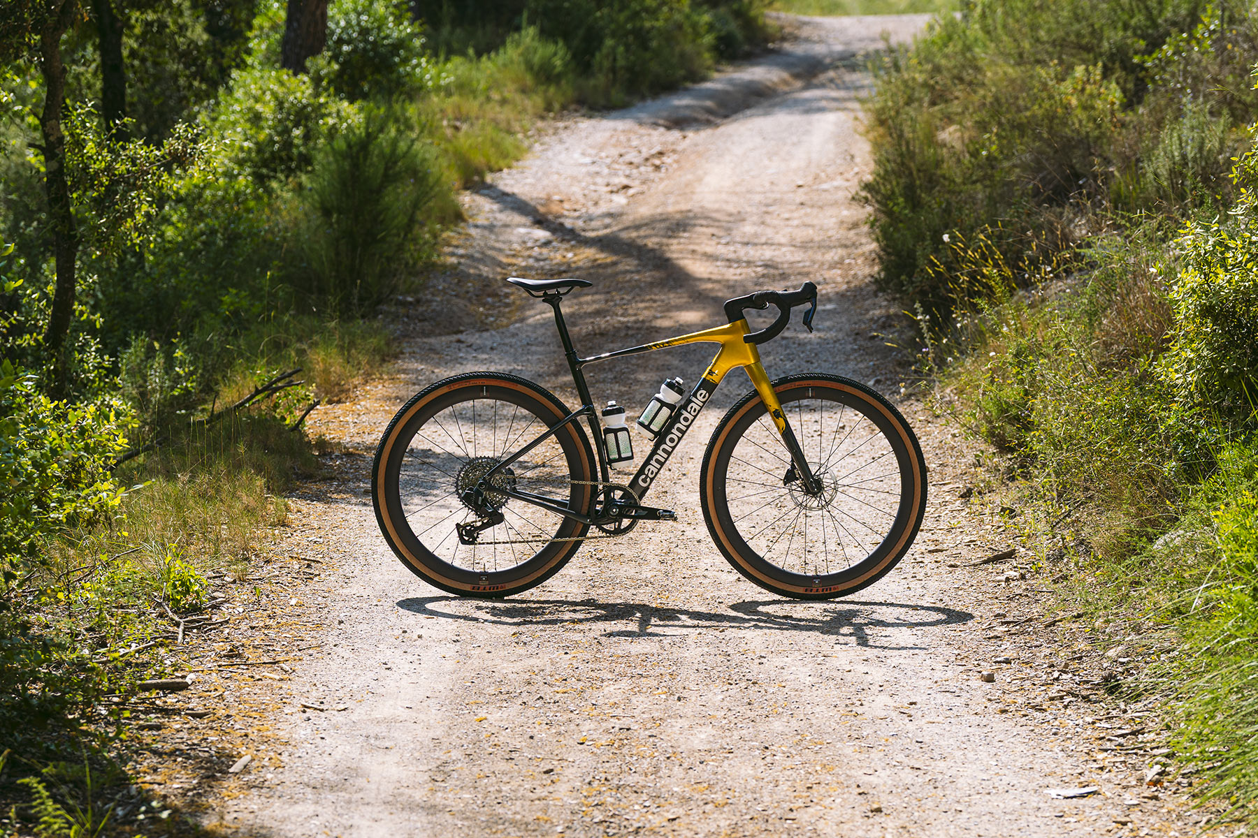 Topstone Carbon 1 AXS b