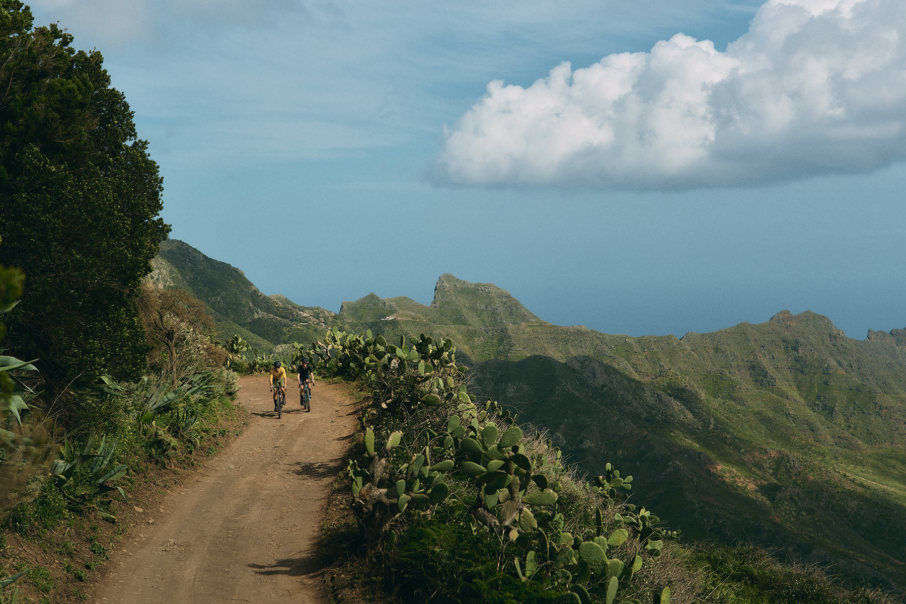 Sram Rival & Force MY25