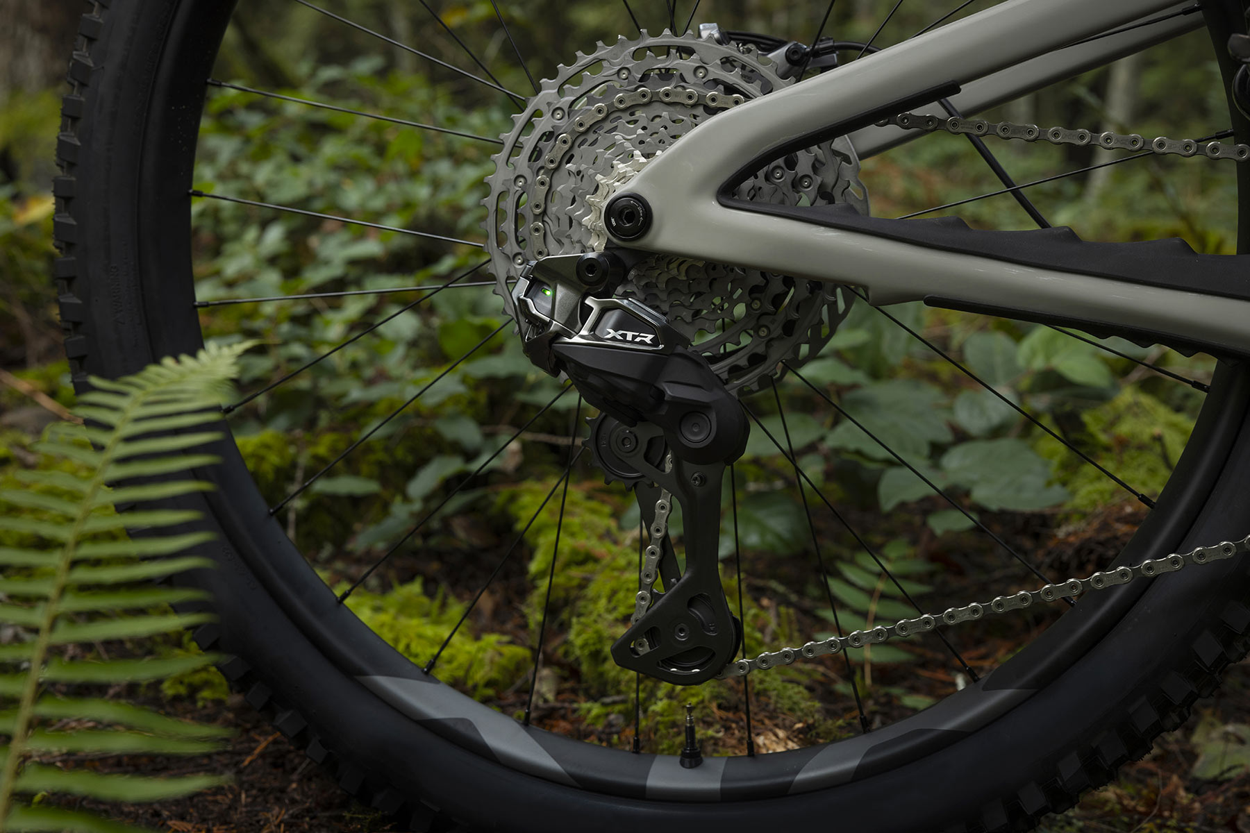 Shimano XTR Di2 2025