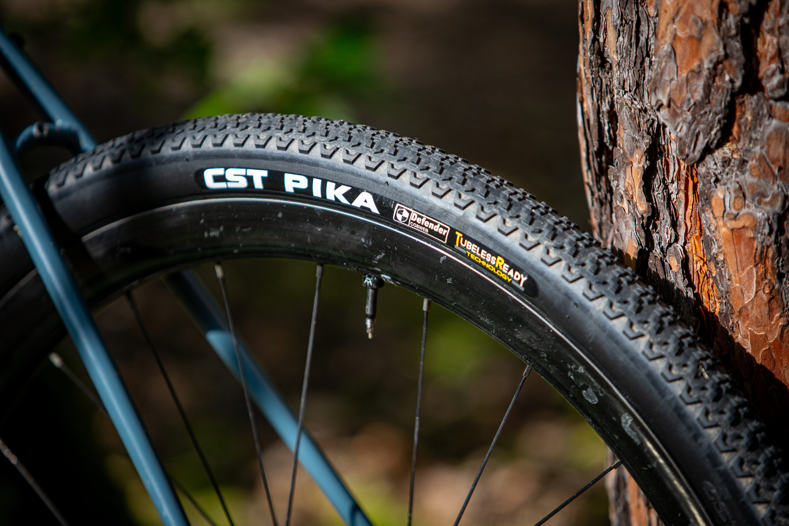 Gravel plt CST Overton & Pika 700x45c