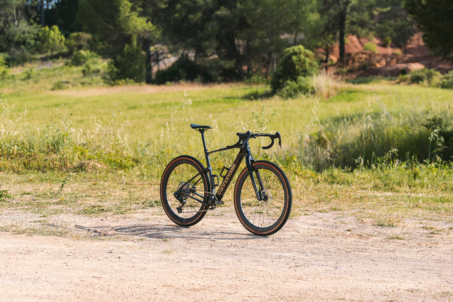 Topstone Carbon 1 AXS