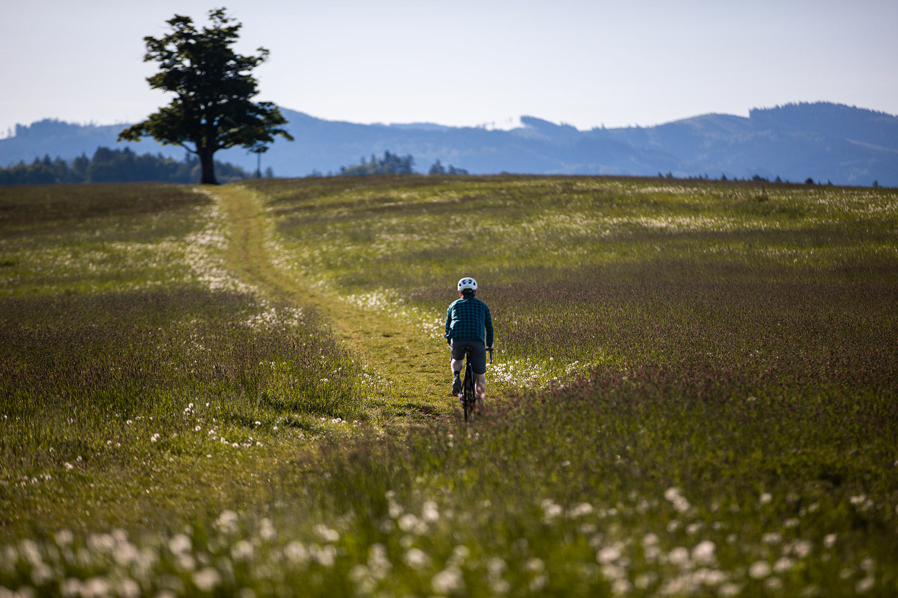 Rock Machine Lukk Cr