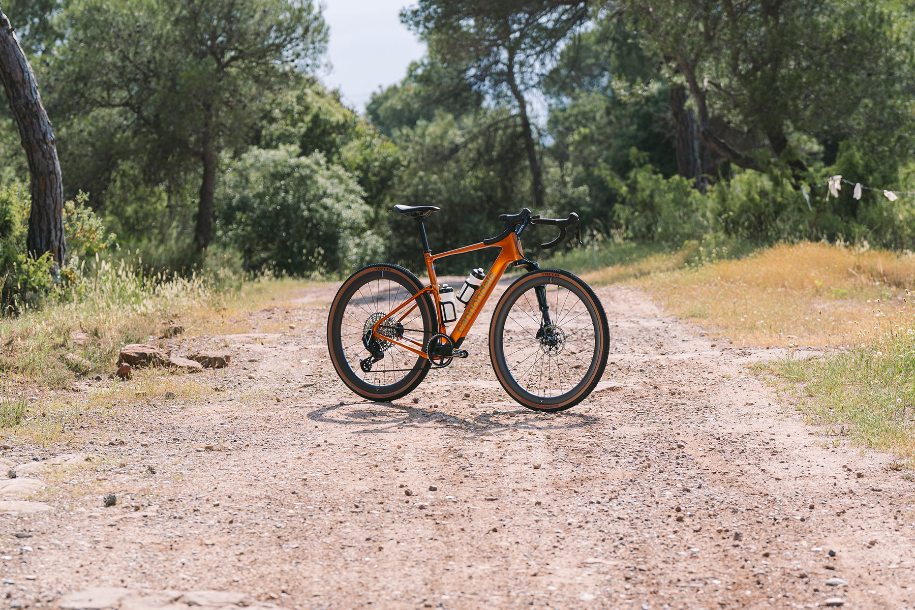 Topstone Carbon LTD Lefty AXS