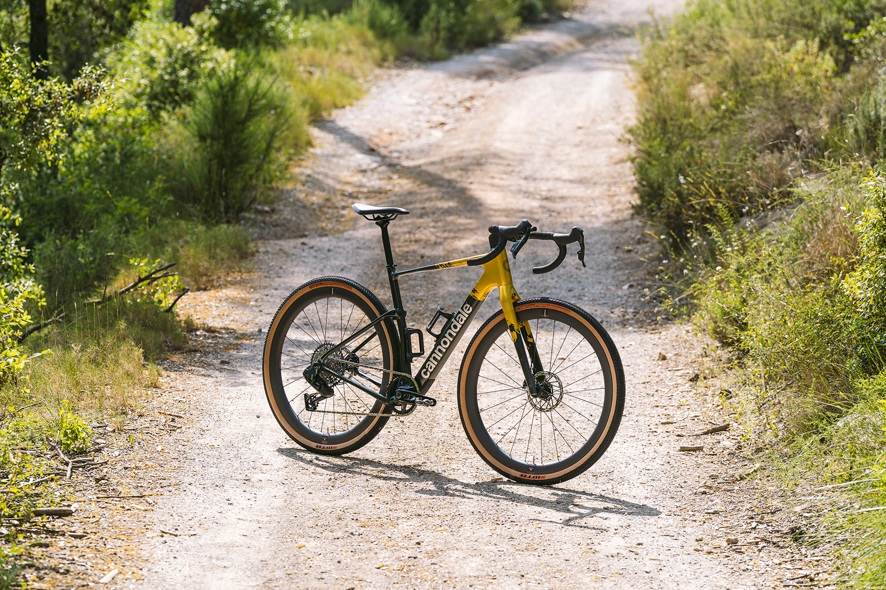 Topstone Carbon 1 AXS b