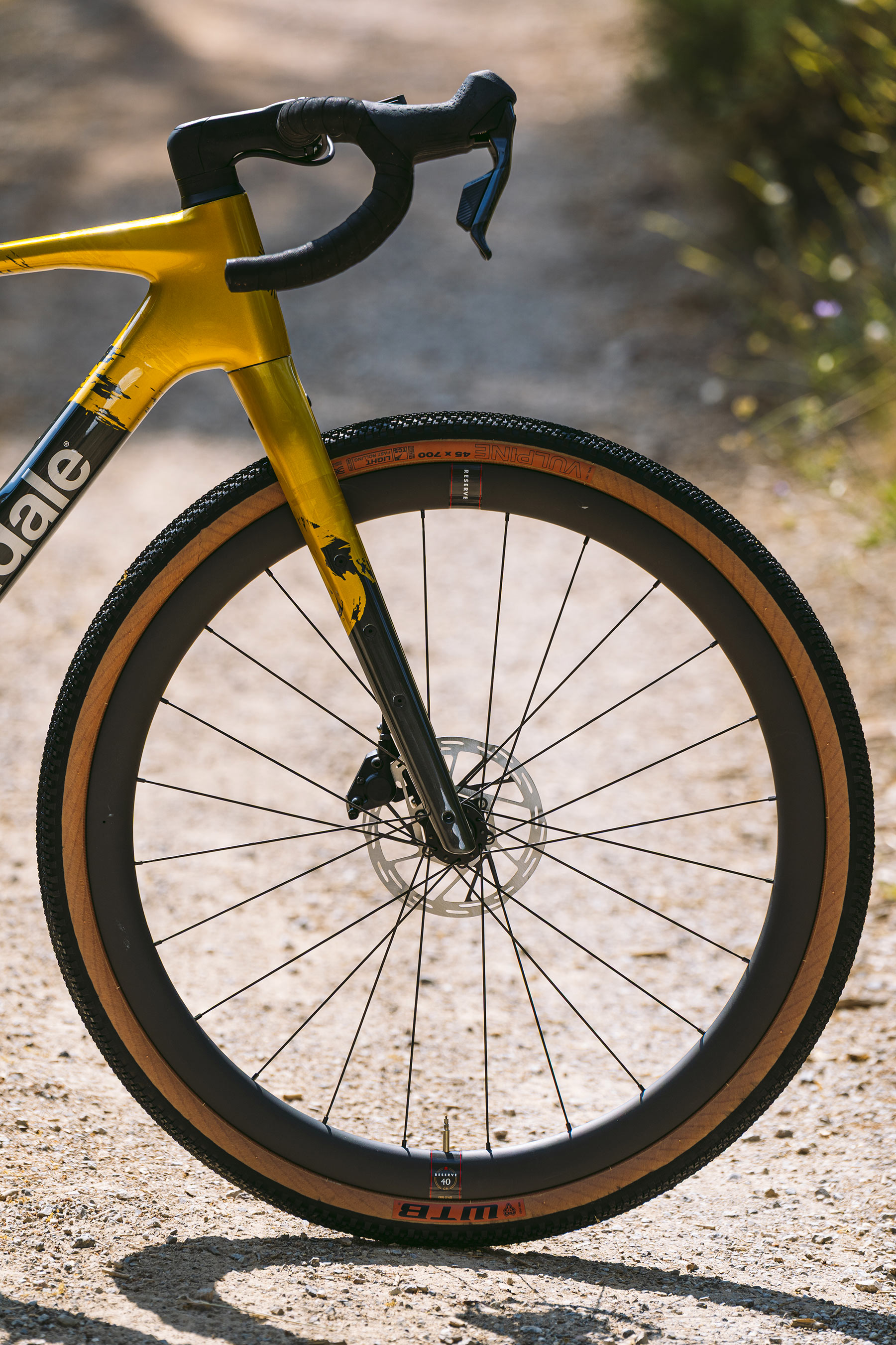 Topstone Carbon 1 AXS b