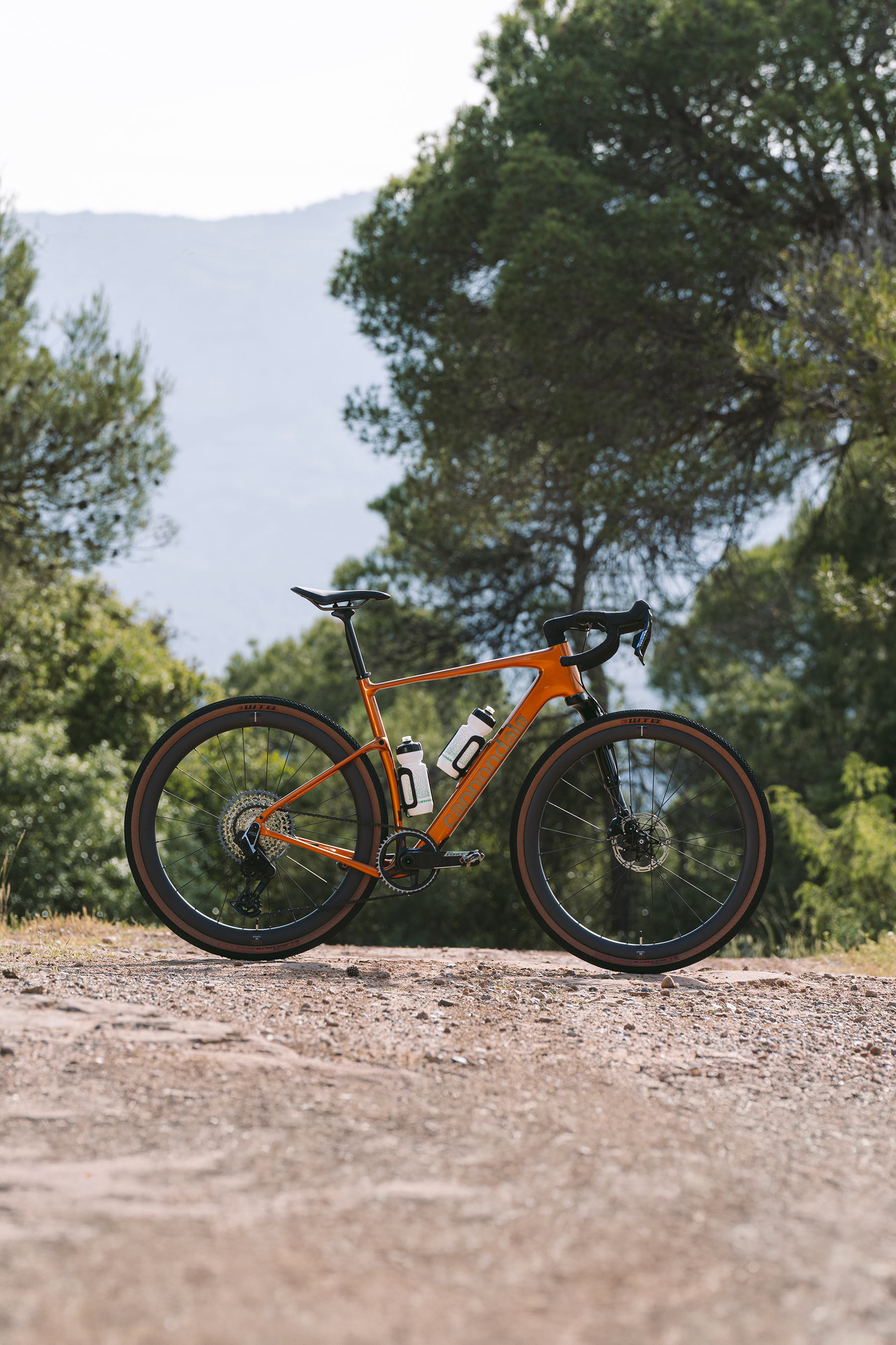 Topstone Carbon LTD Lefty AXS