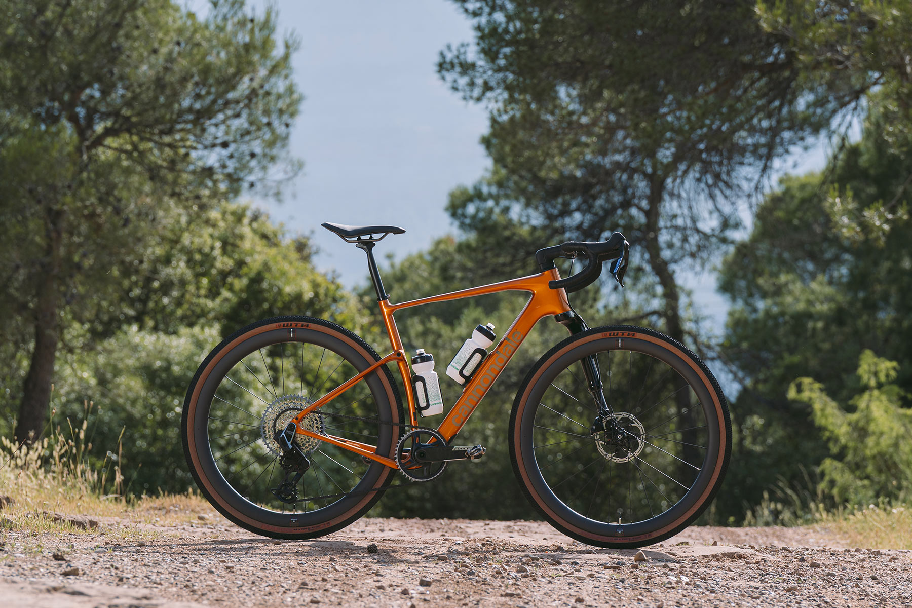 Topstone Carbon LTD Lefty AXS