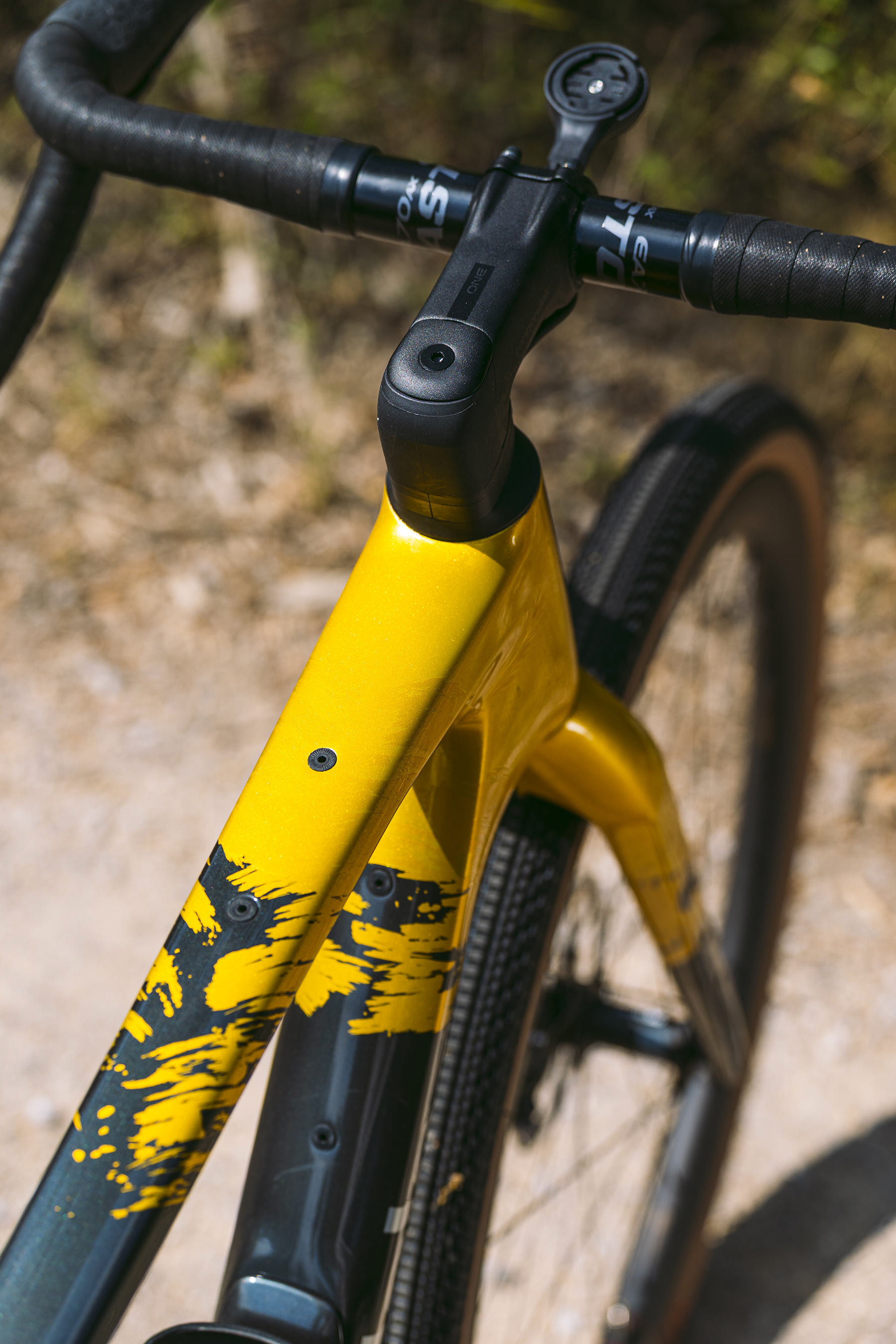 Topstone Carbon 1 AXS b