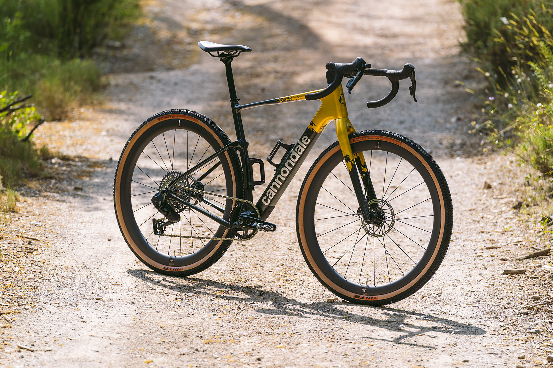 Topstone Carbon 1 AXS b