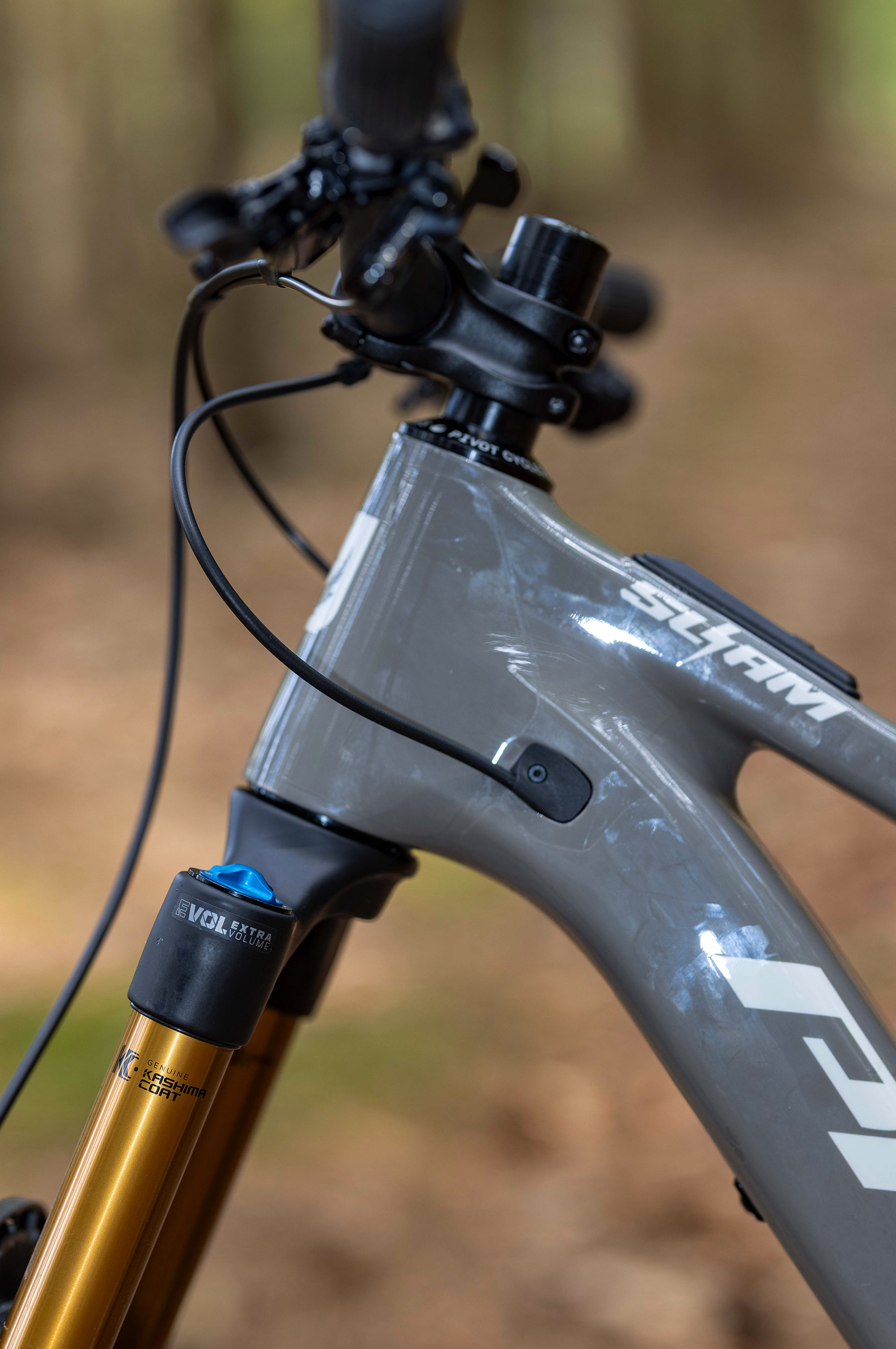 Pivot Shuttle SL-AM PRO XO