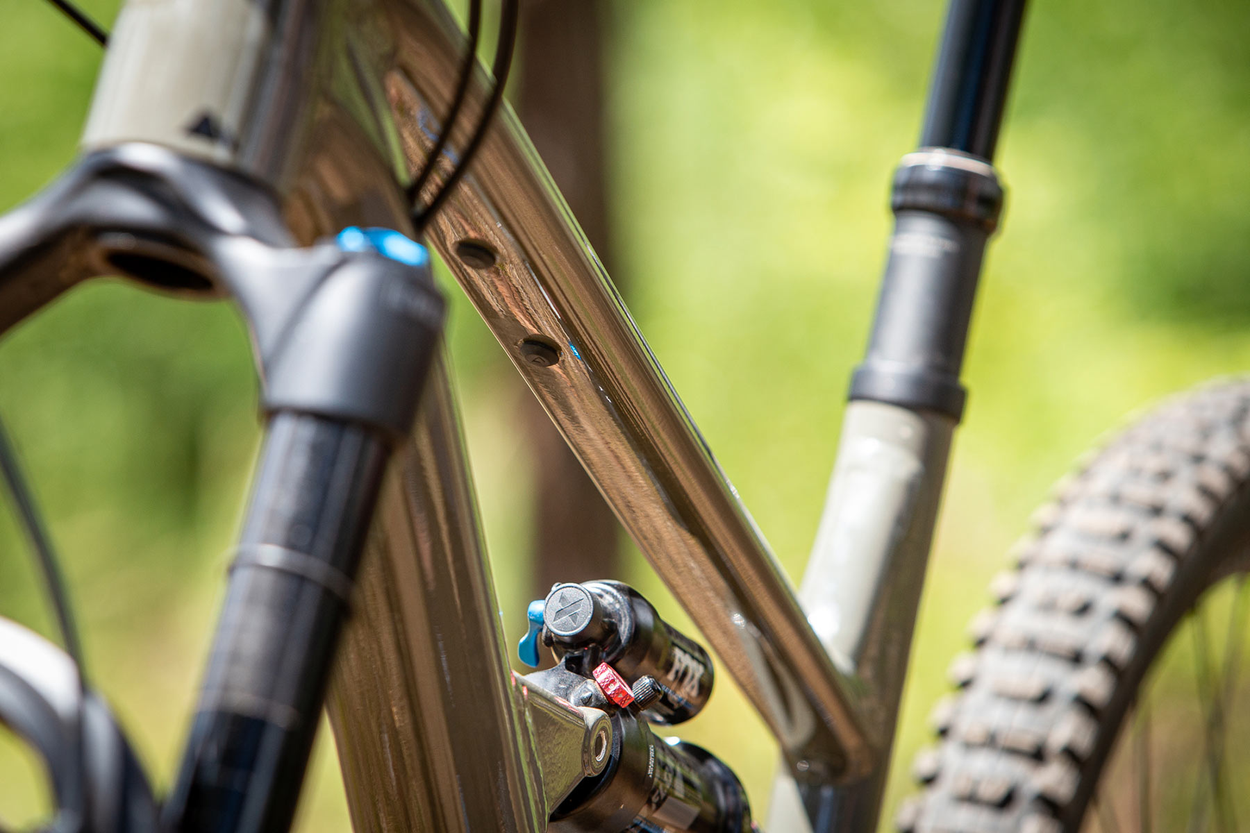 Canyon Spectral AL 6