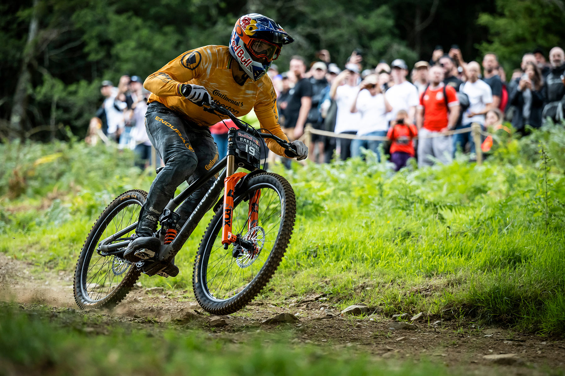 Red Bull Hardline 2025