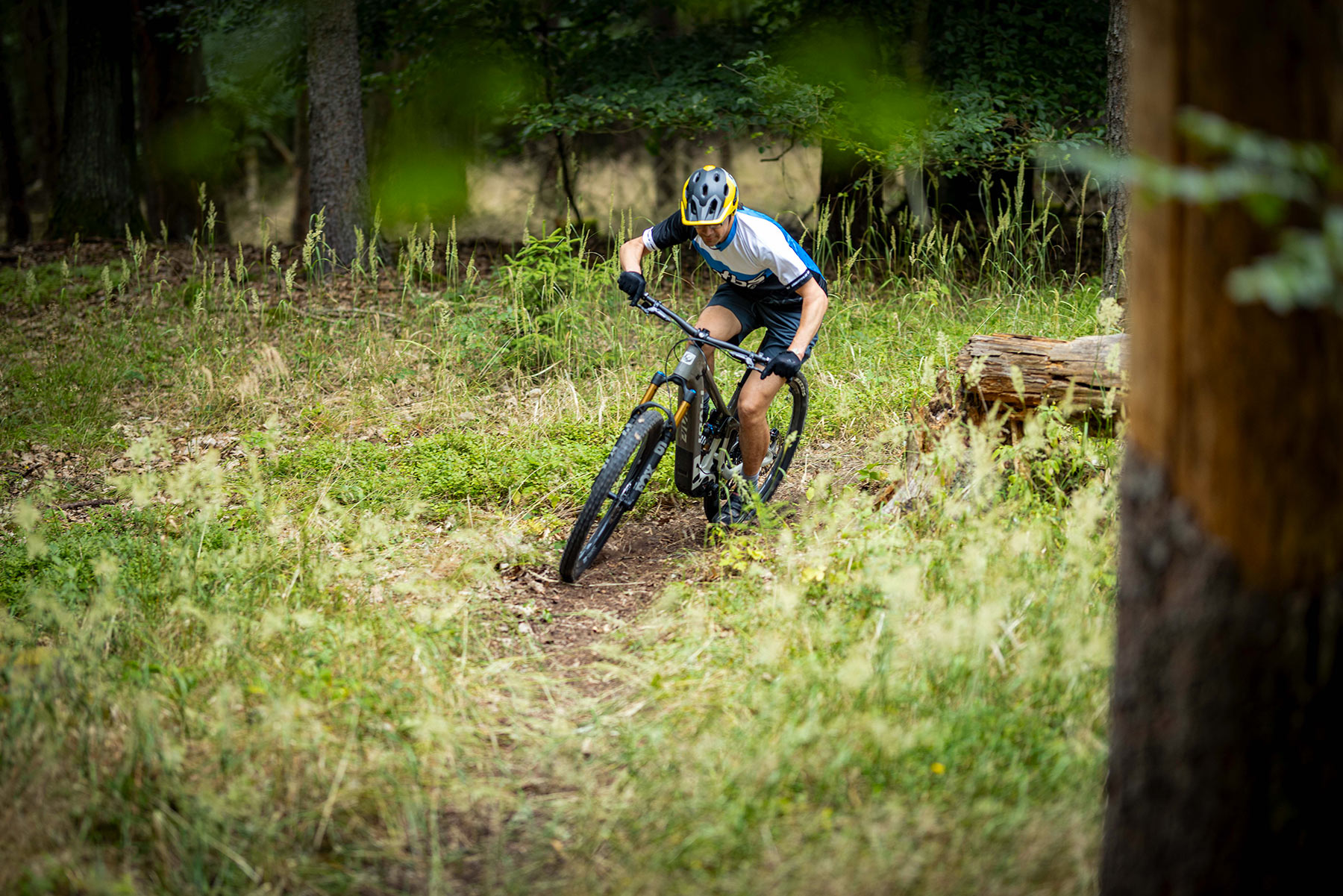 Pivot Shuttle SL-AM PRO XO