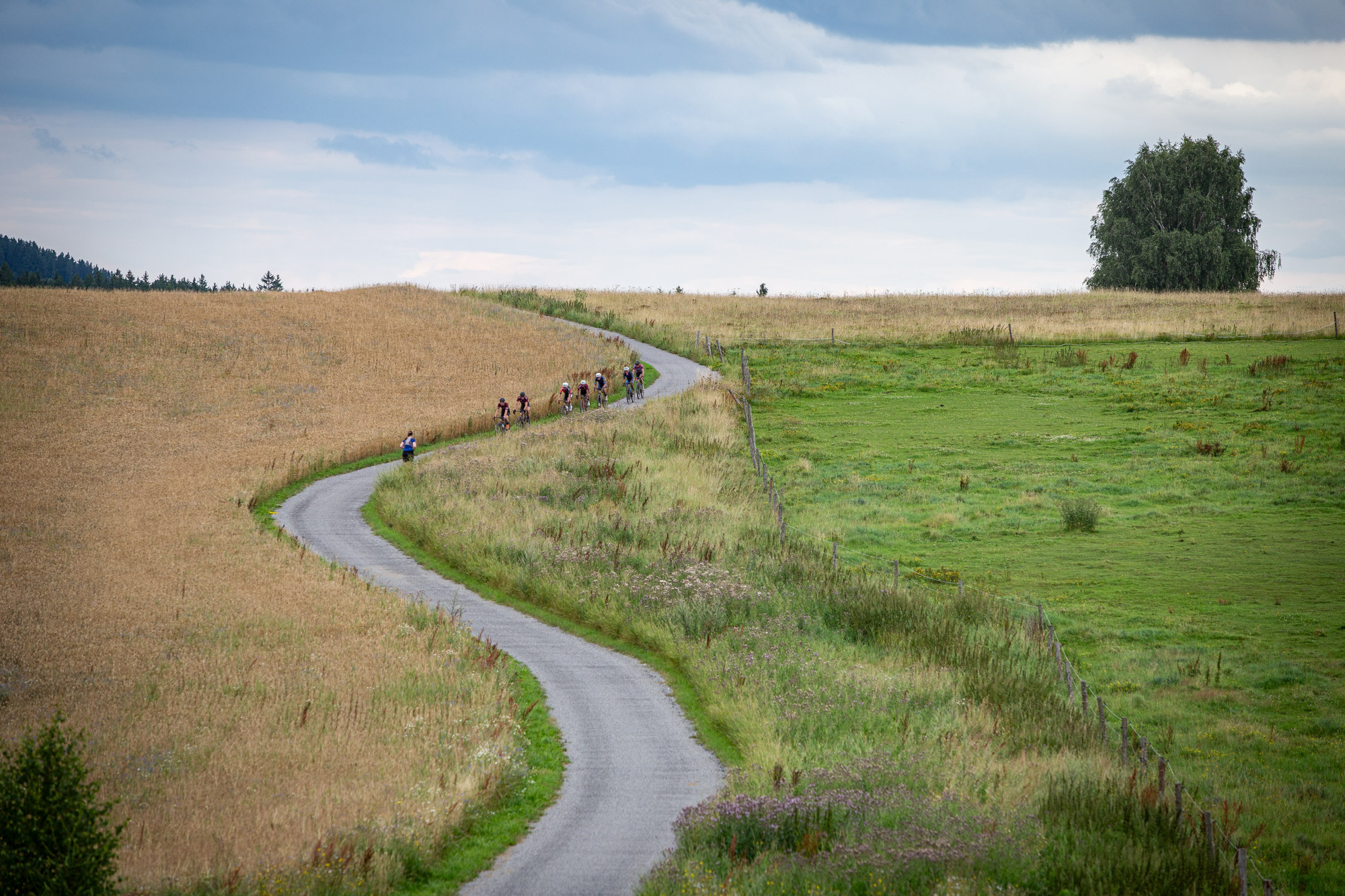 Hlinsko 2025 - eln sedmika se bl