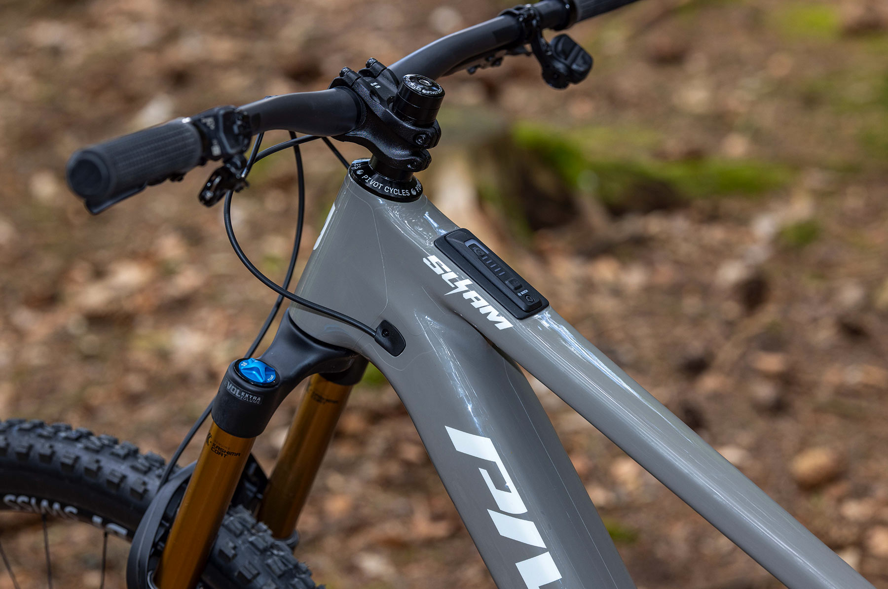 Pivot Shuttle SL-AM PRO XO