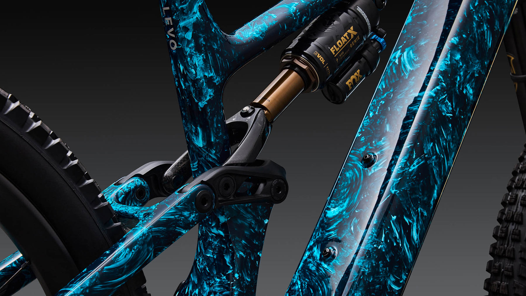 S-Works Turbo Levo 4 LTD