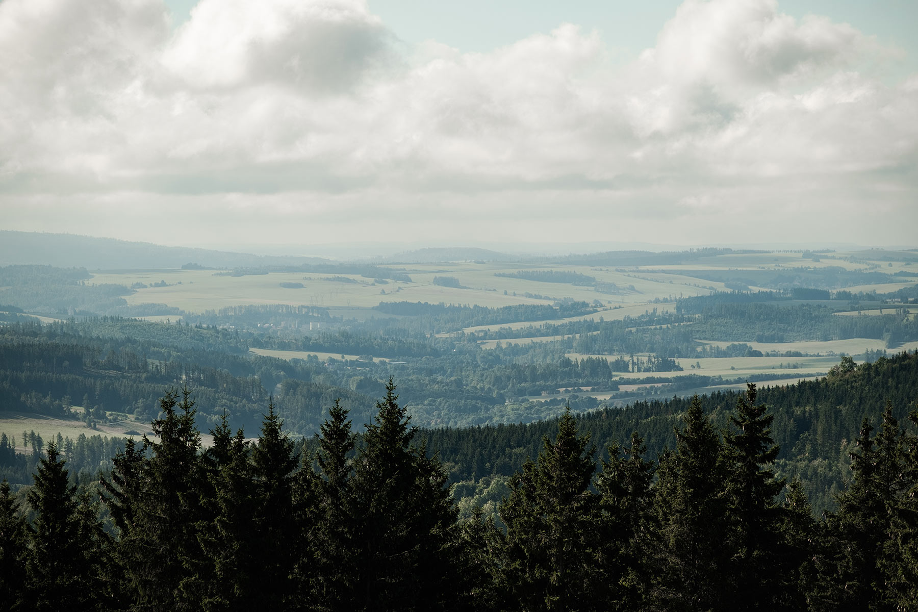 PROPAIN Rookies Cup finle 2025 - Kopivn